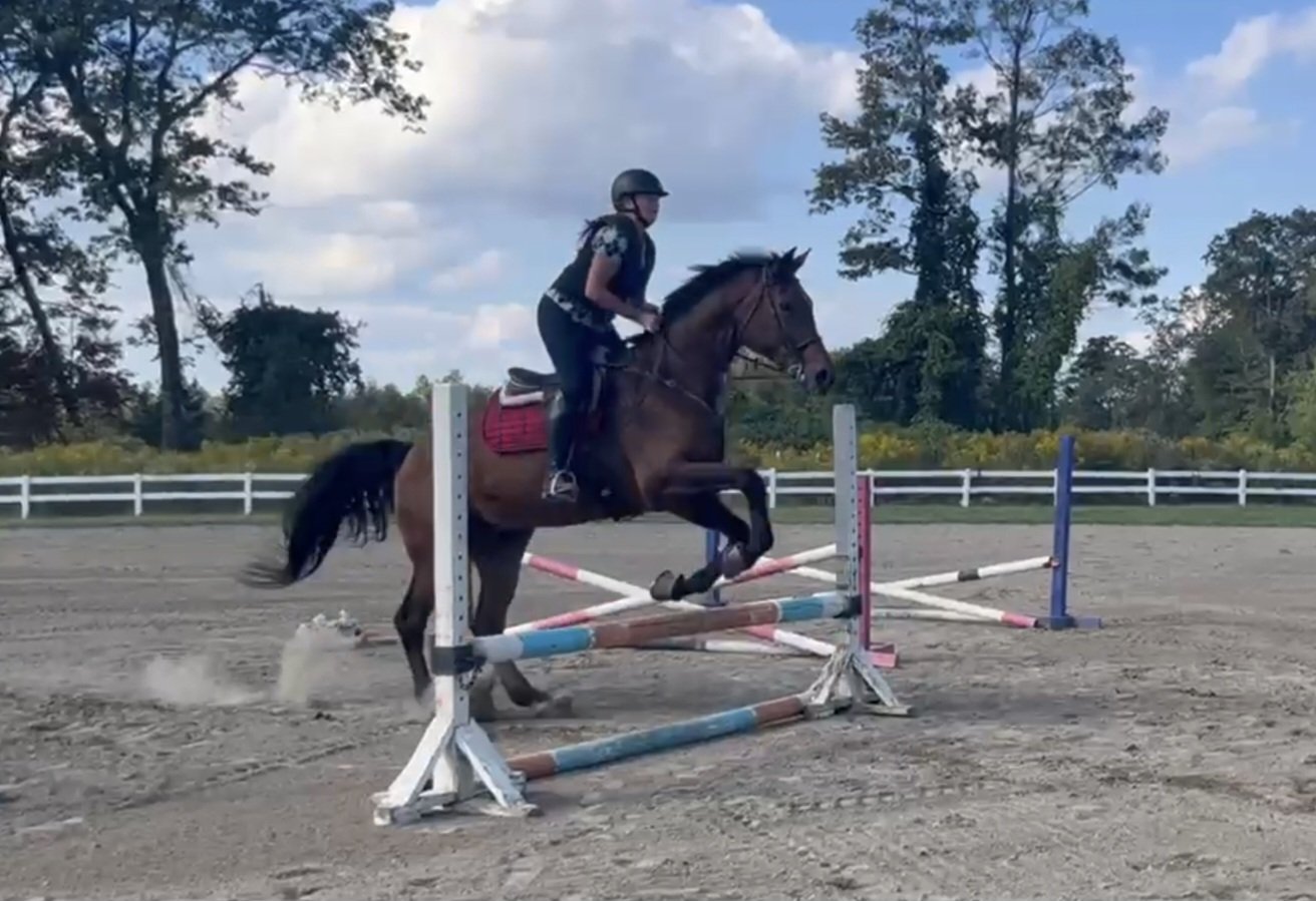A woman riding a horse while jumping over an obstacle in an outdoor equestrian arena with trees and a blue sky in the background.