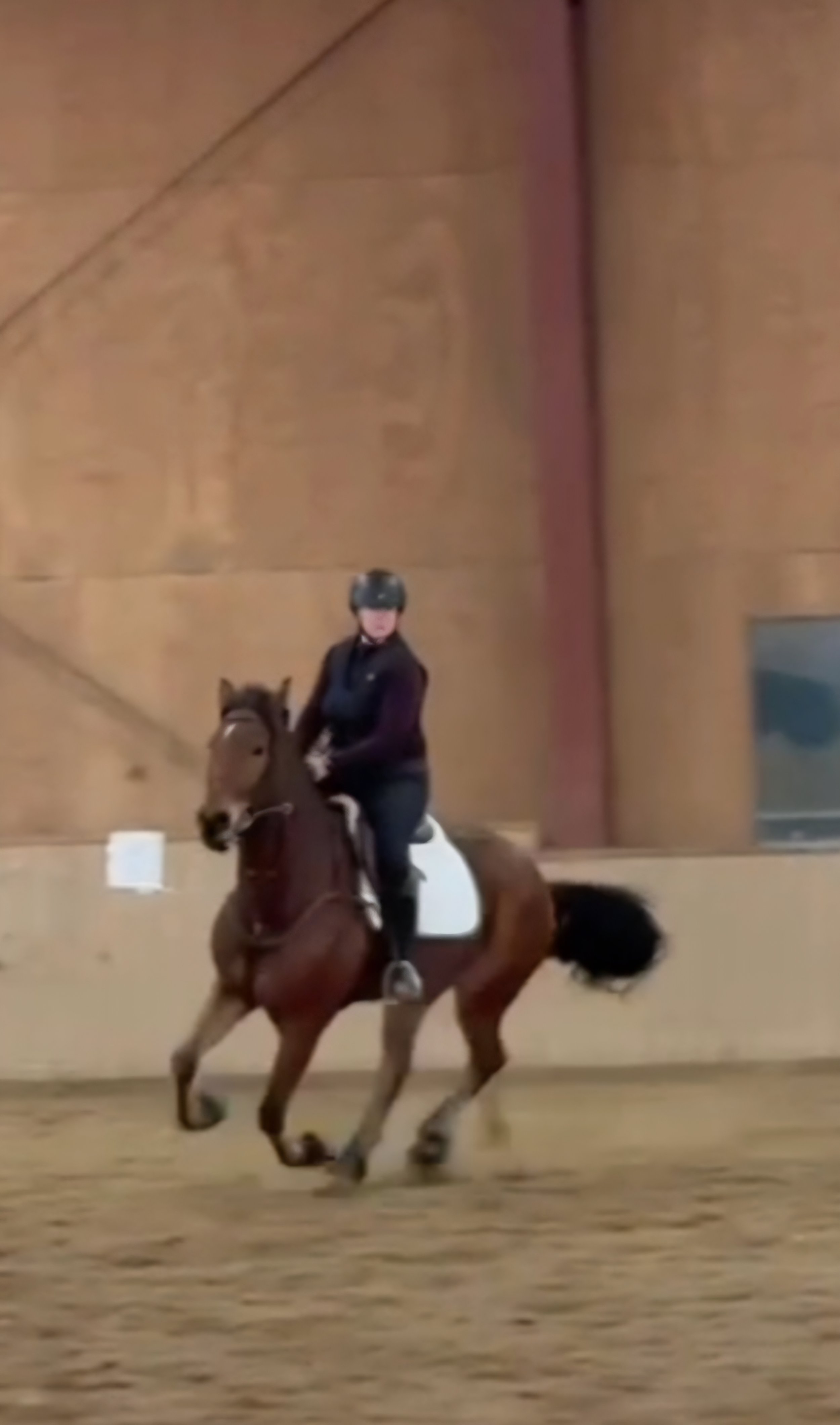 Person riding a horse in an indoor riding arena