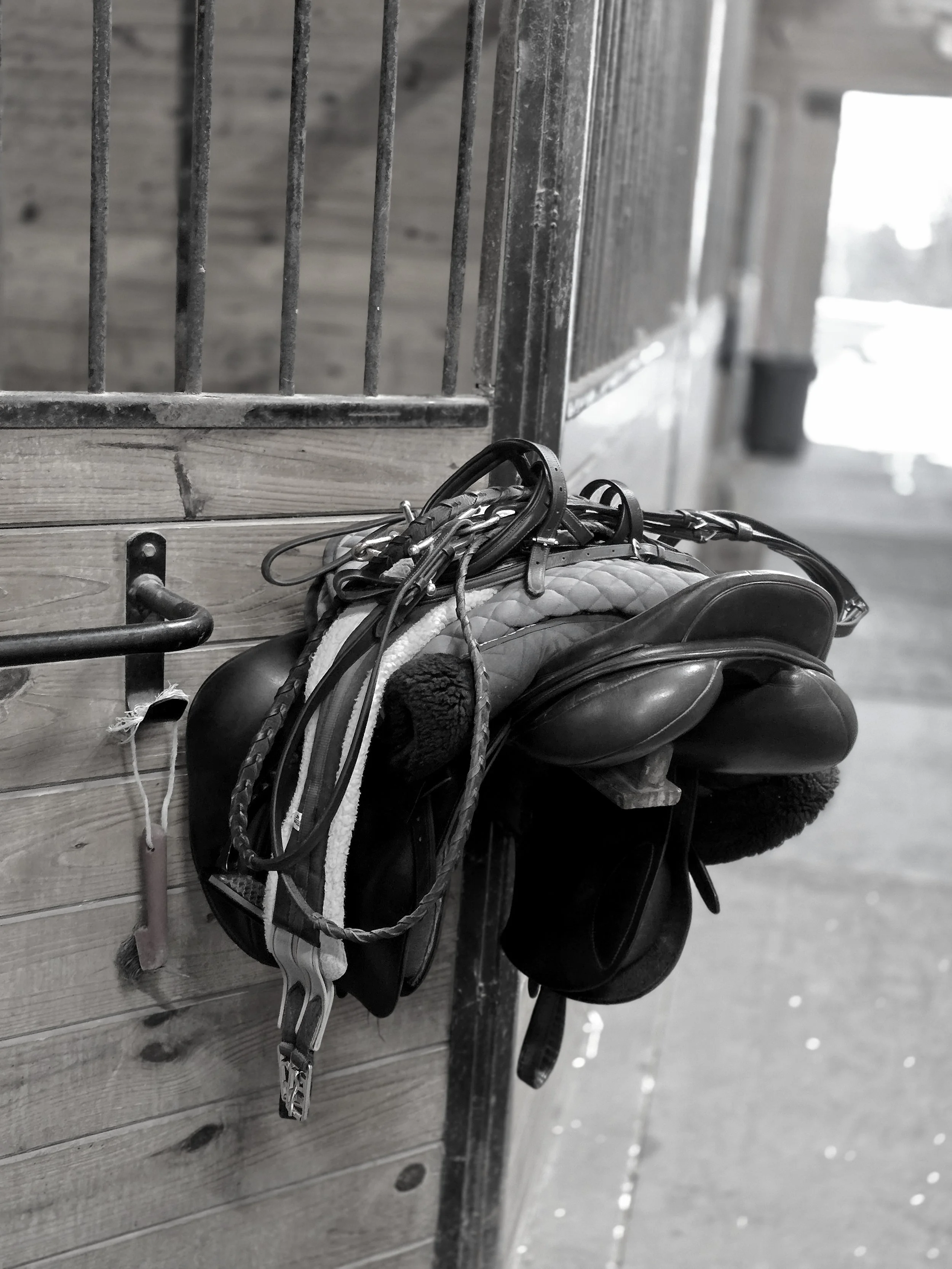 A bridle with reins hanging on a hook outside a horse stall.