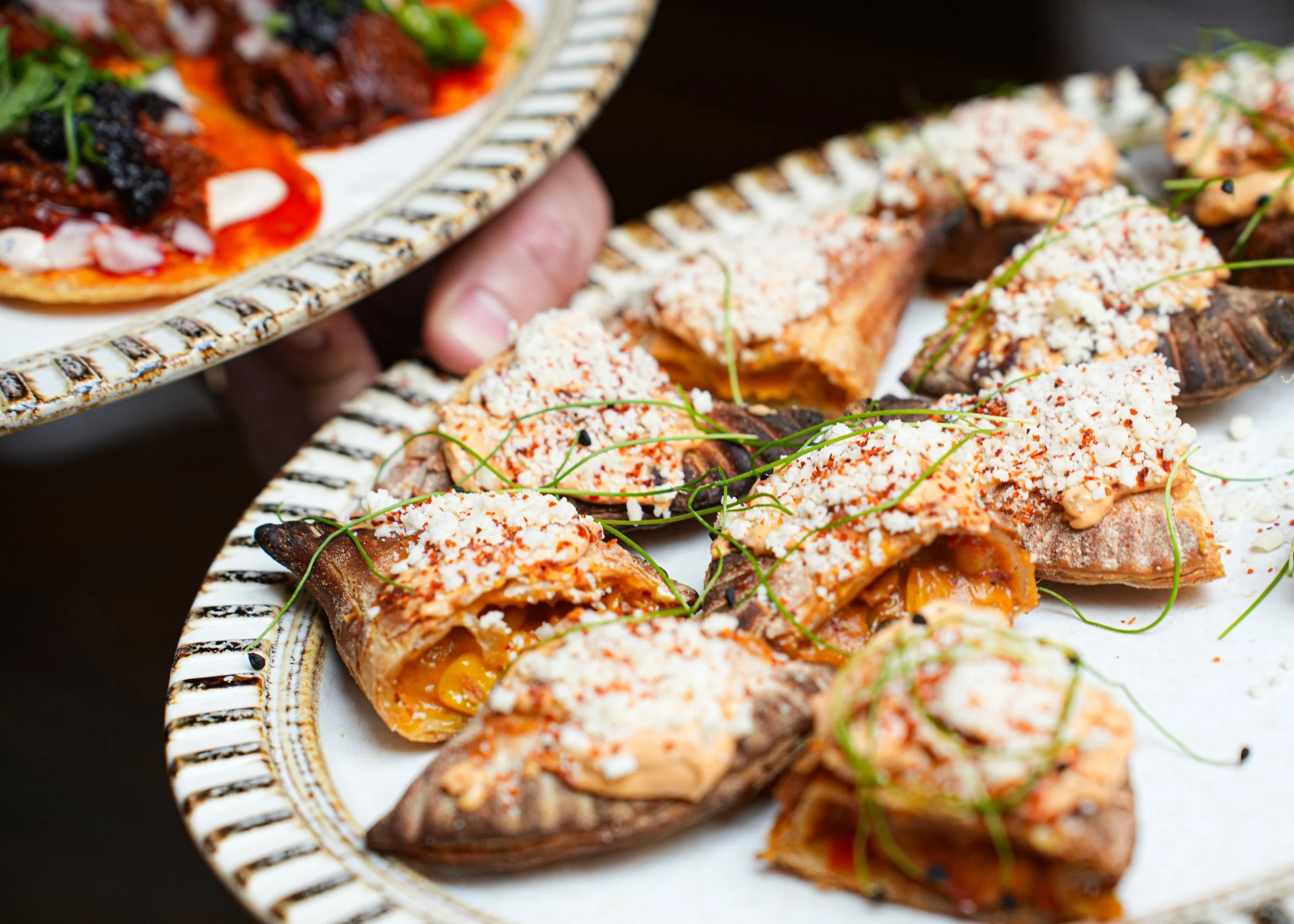 Assorted savory stuffed pastries on a decorative platter, topped with cheese and garnished with microgreens.