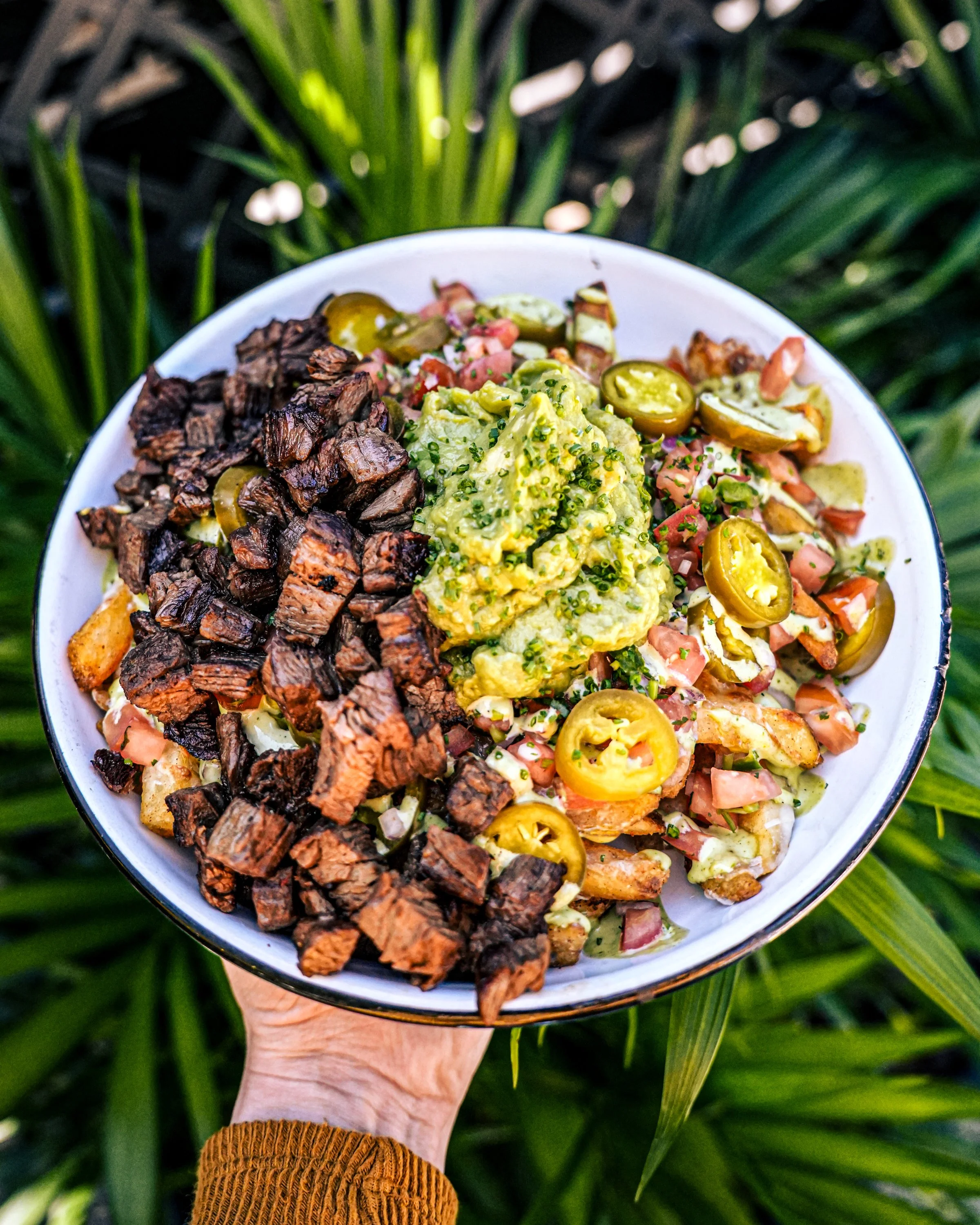 Hand holding a bowl of guacamole, chopped beef, and chopped vegetables, against a background of green tropical leaves.