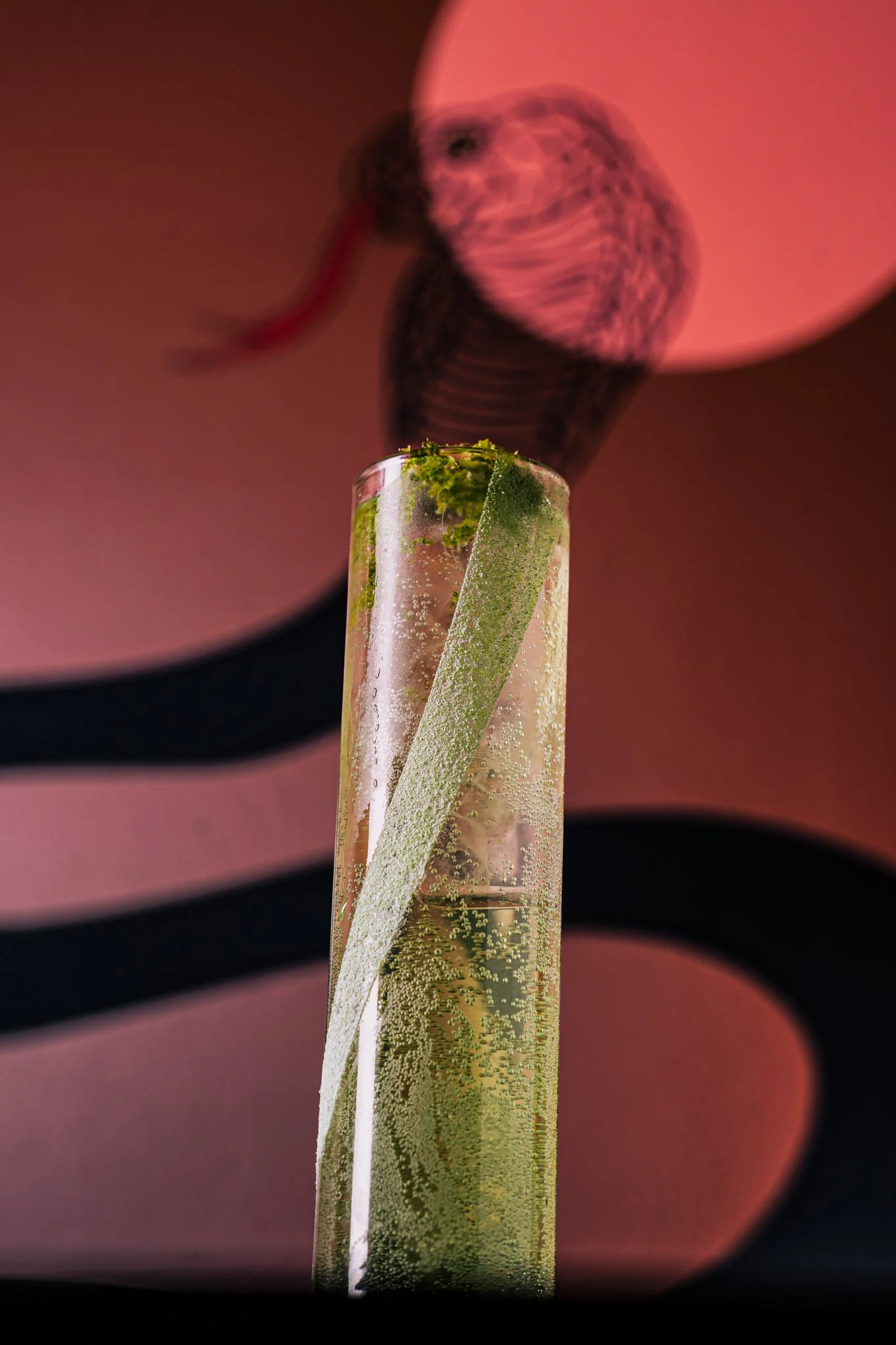 Cetilia-Trino-Laberinto-Condesa-3.jpg