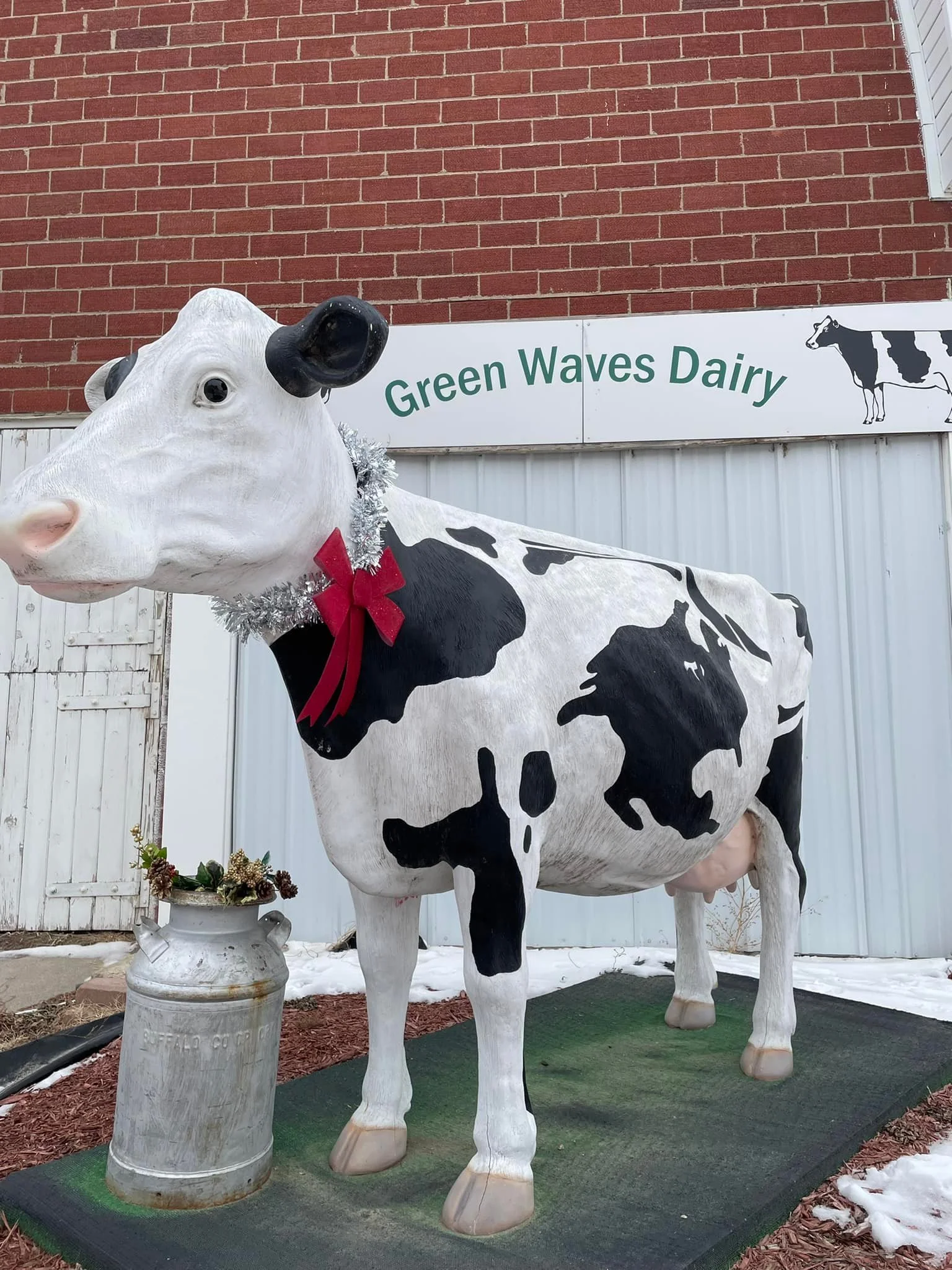 A life-sized cow statue painted with black and white patches, decorated with a silver tinsel garland, a red bow, and standing next to a metal milk can filled with small plants. The background shows a sign reading 'Green Waves Dairy' with a cow illustration, a brick wall, and a white wooden fence.