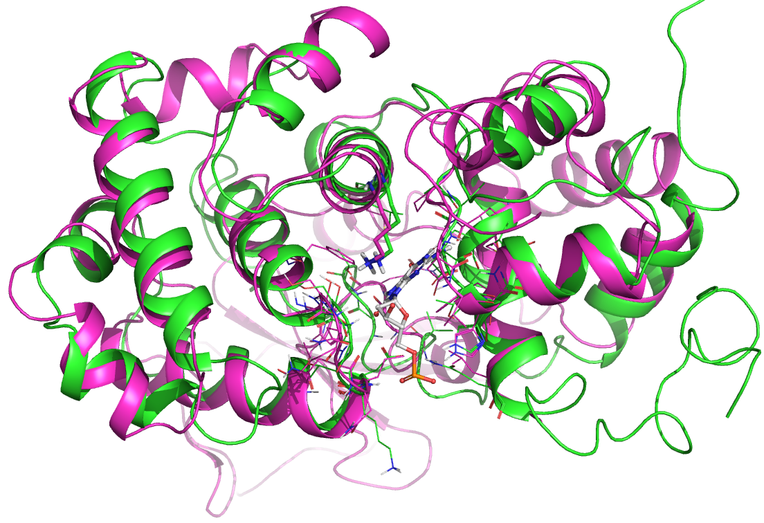 DNA Repair Enzymology  and Medicinal Chemistry