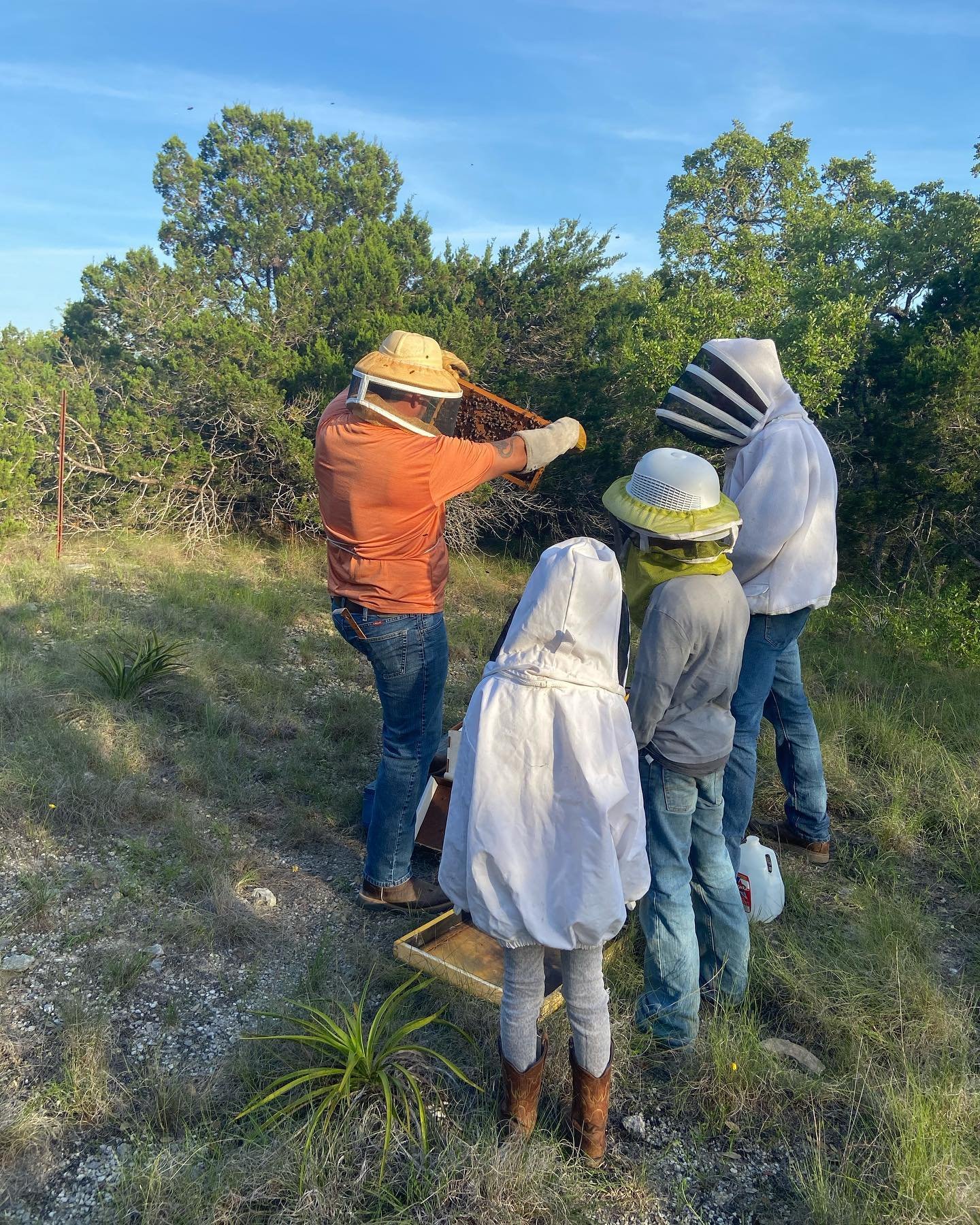 Four people wearing protective beekeeping suits and hats around a beekeeper who is holding a honeycomb frame outdoors on a grassy area with trees in the background.