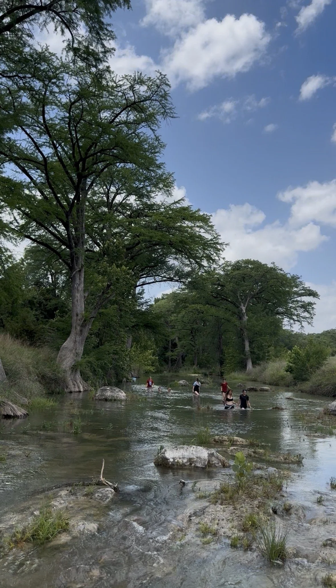 People wading in a shallow river surrounded by trees under a partly cloudy sky.