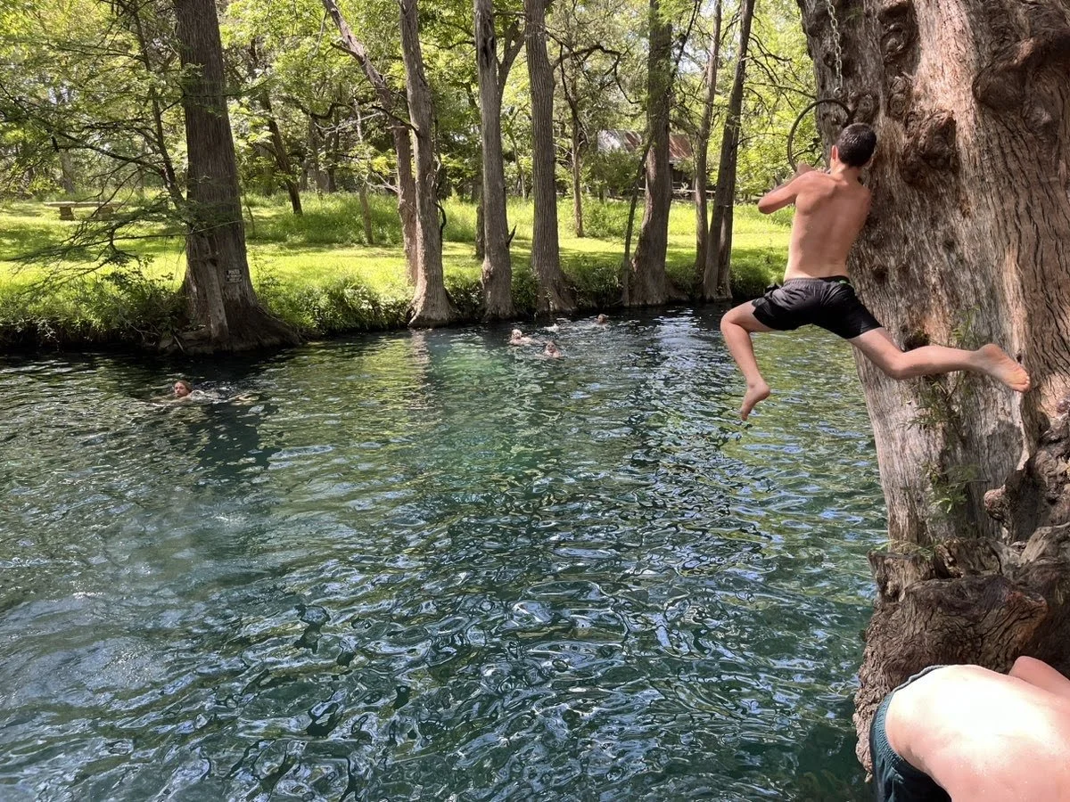 A shirtless boy jumps off a tree into a river while others swim in the water and a person rests on the riverbank in a wooded area.