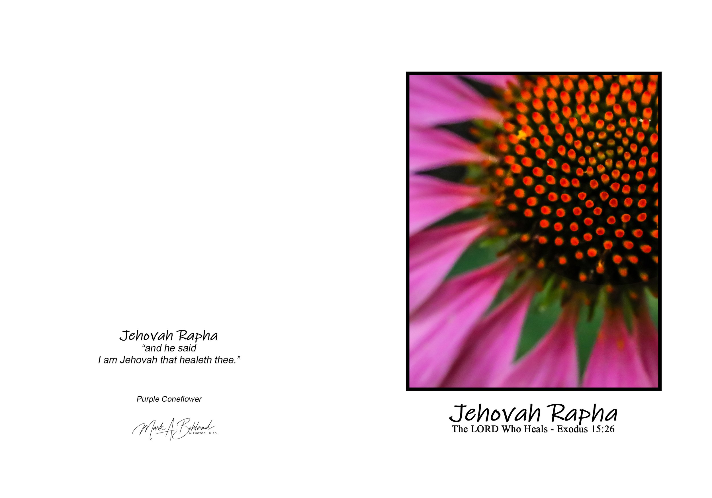 NOG I 01 - 5x7 Inch Greeting Card With Envelope