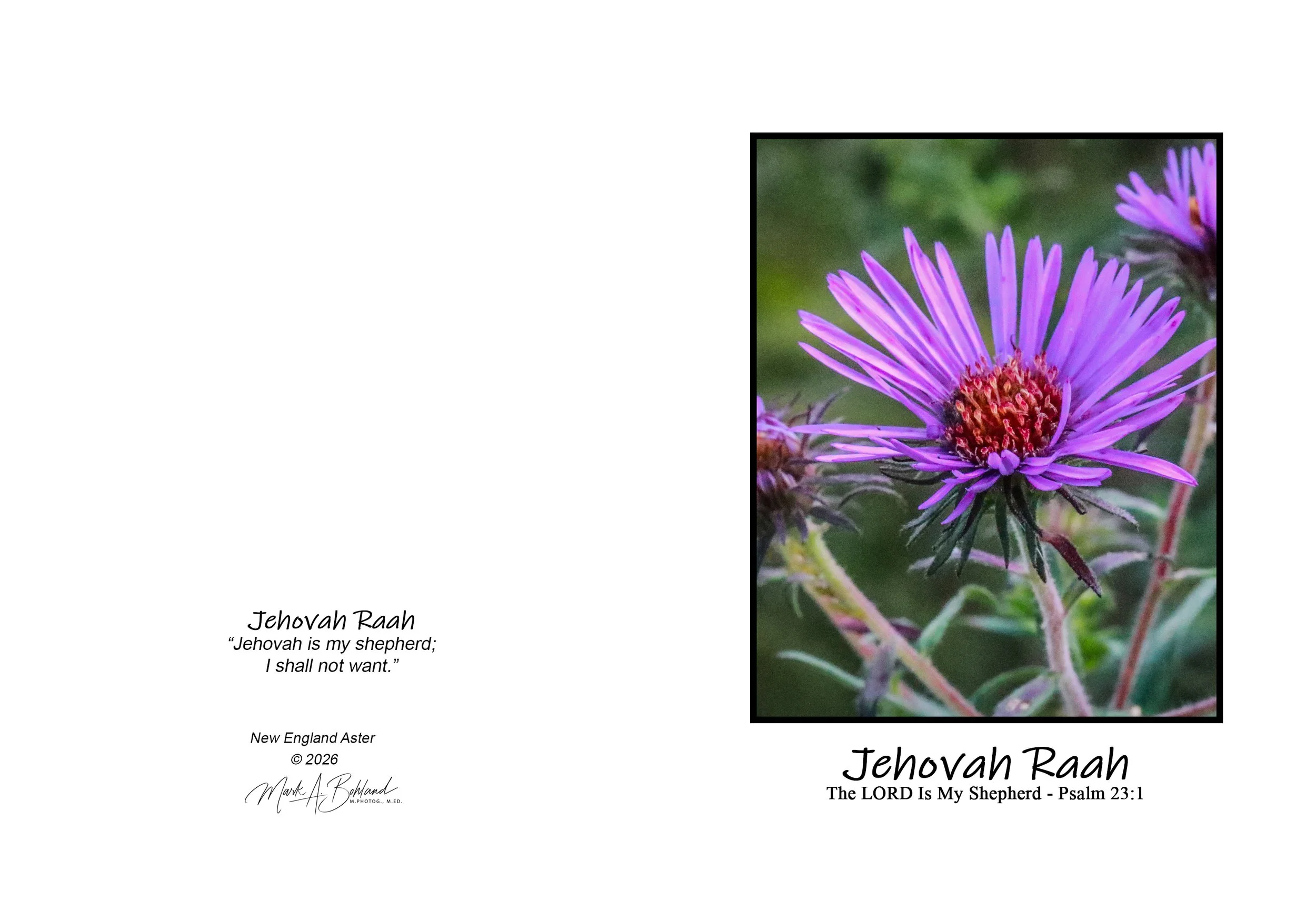 NOG I 04 - 5x7 Inch Greeting Card With Envelope