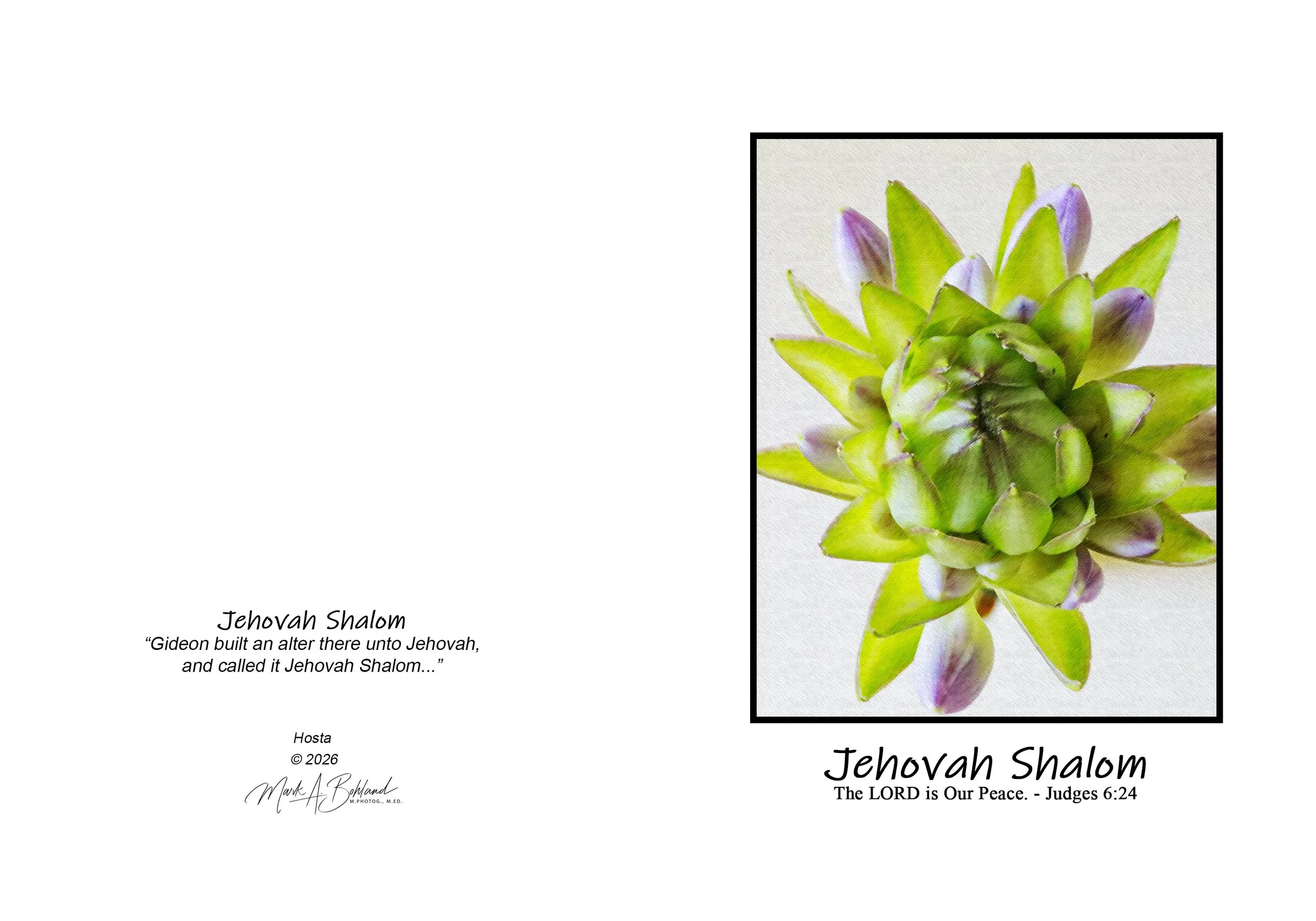 NOG I 02 - 5x7 Inch Greeting Card With Envelope