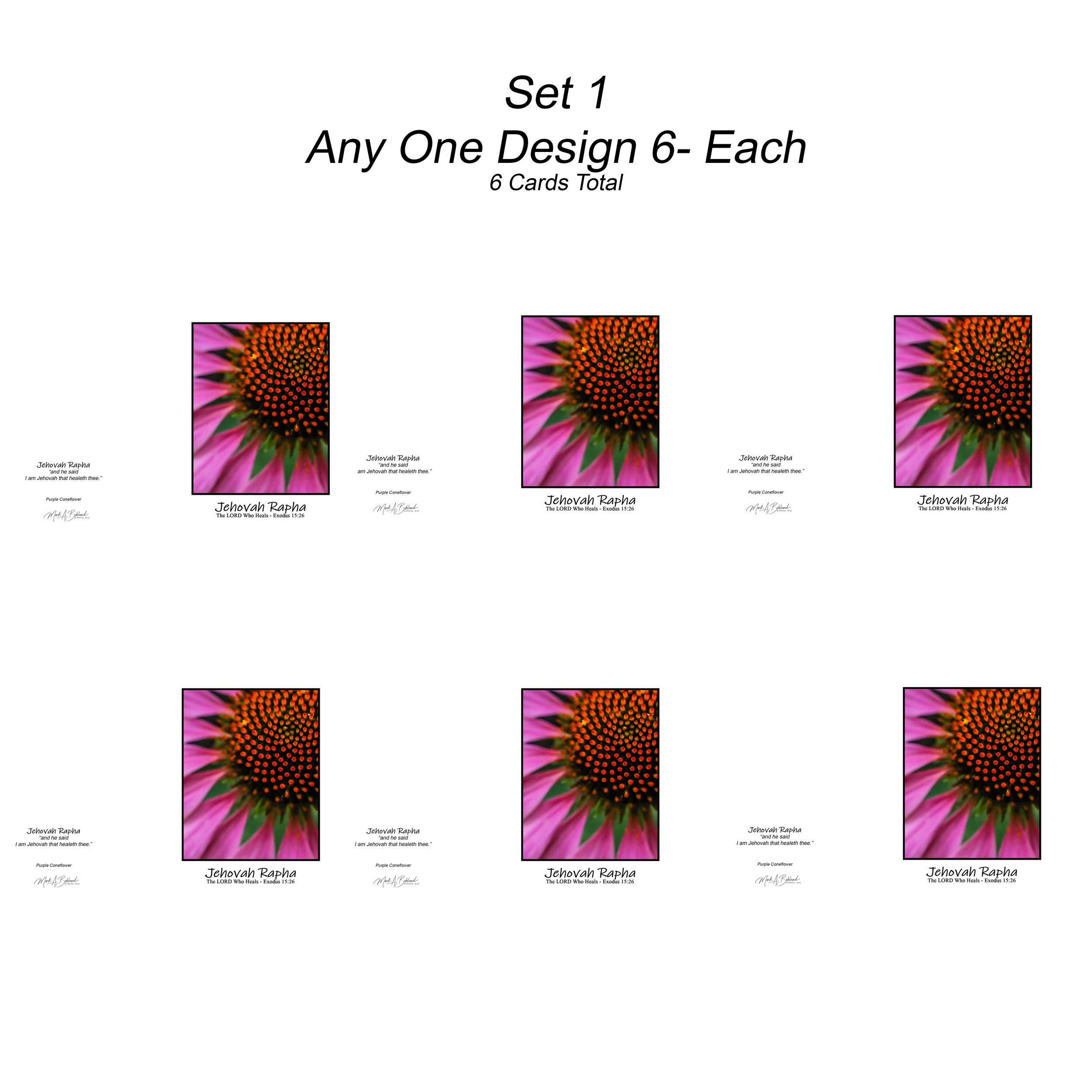 NOG I Set 1 - Boxed Set of Six Cards Any One Design - 5x7 Inch Greeting Cards With Envelopes