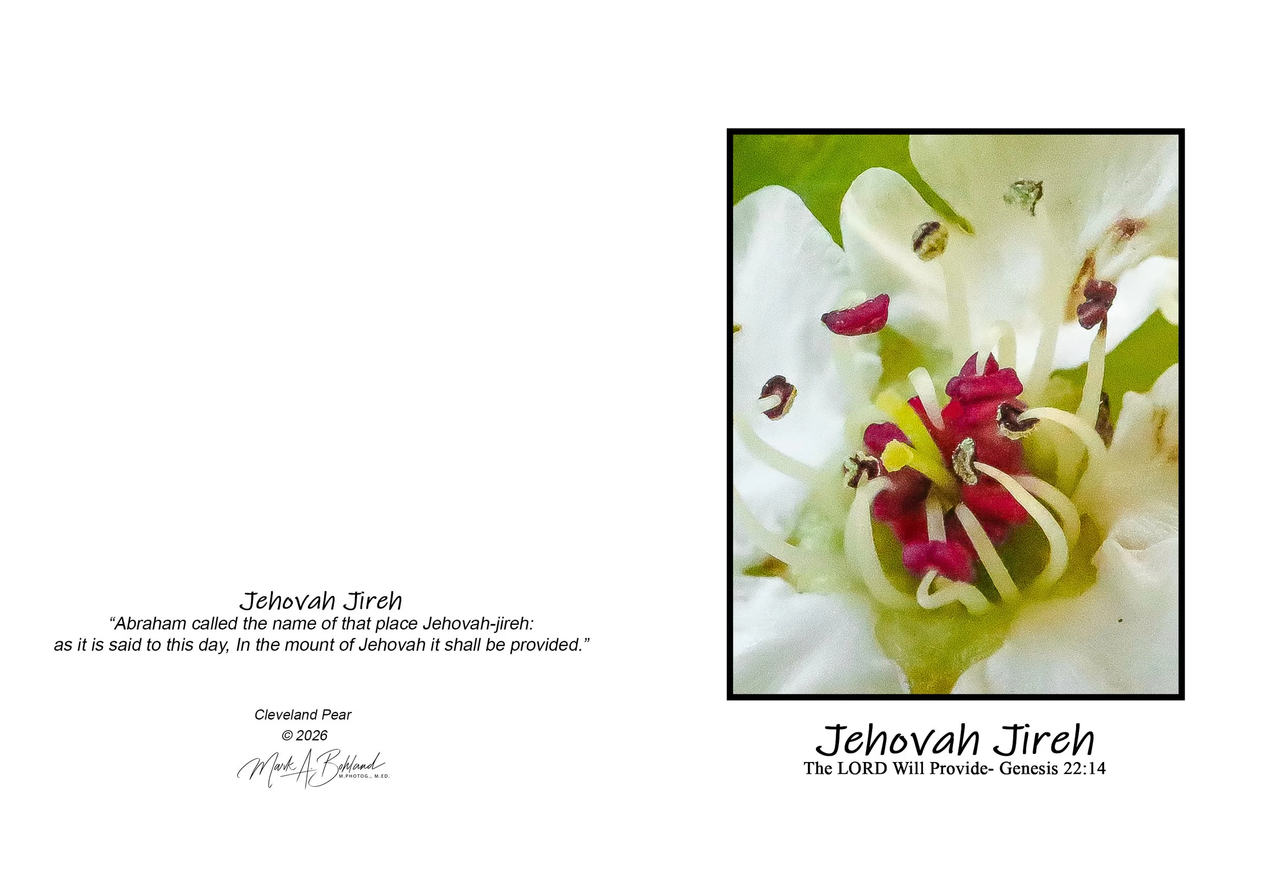 NOG I 03 - 5x7 Inch Greeting Card With Envelope