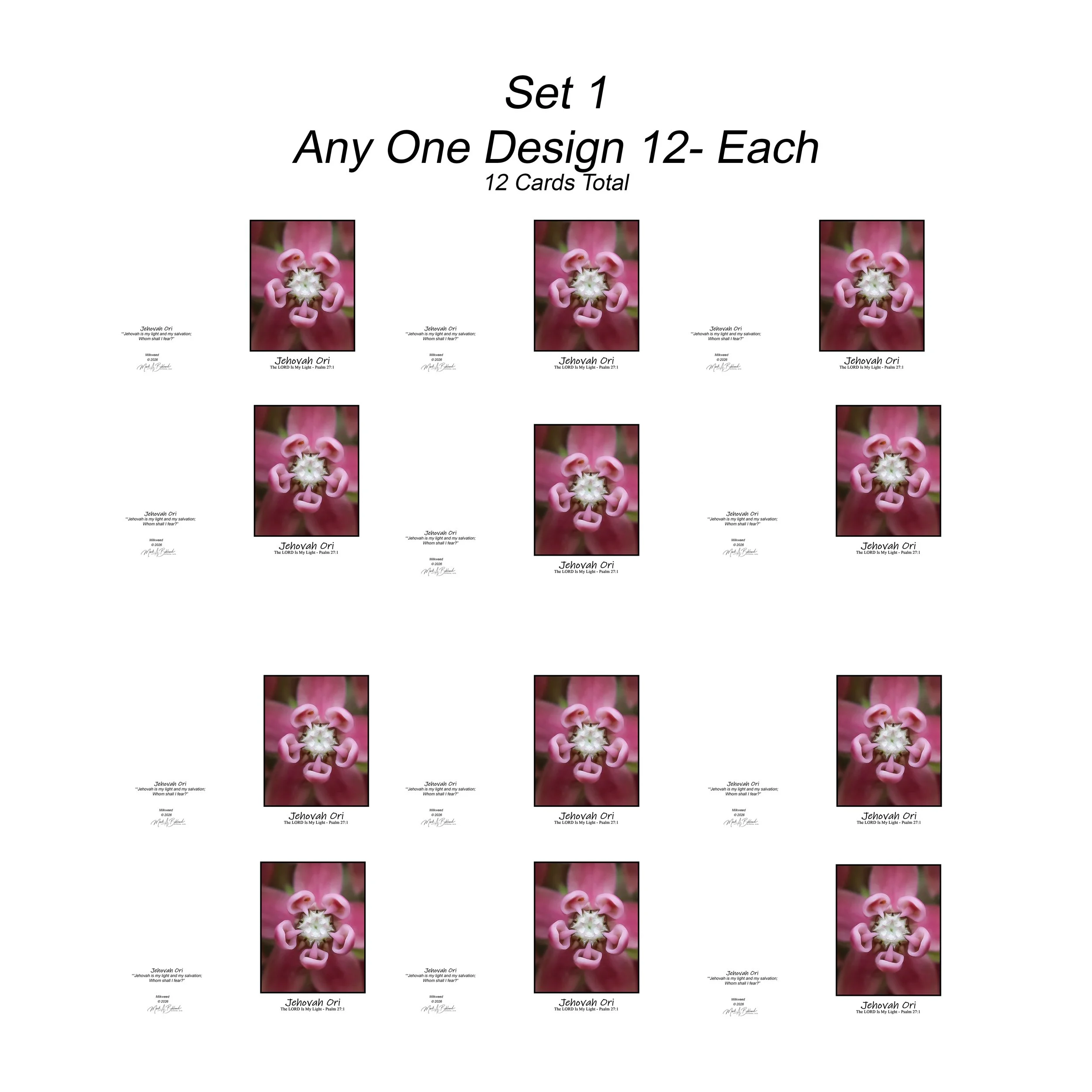 NOG I Set 3  - Boxed Set of Twelve Cards From Any One Design - 5x7 Inch Greeting Cards With Envelopes