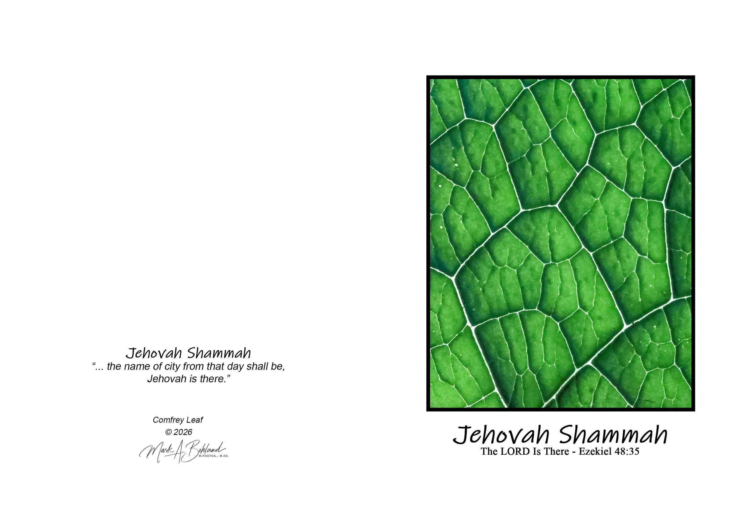 NOG I 05 - 5x7 Inch Greeting Card With Envelope