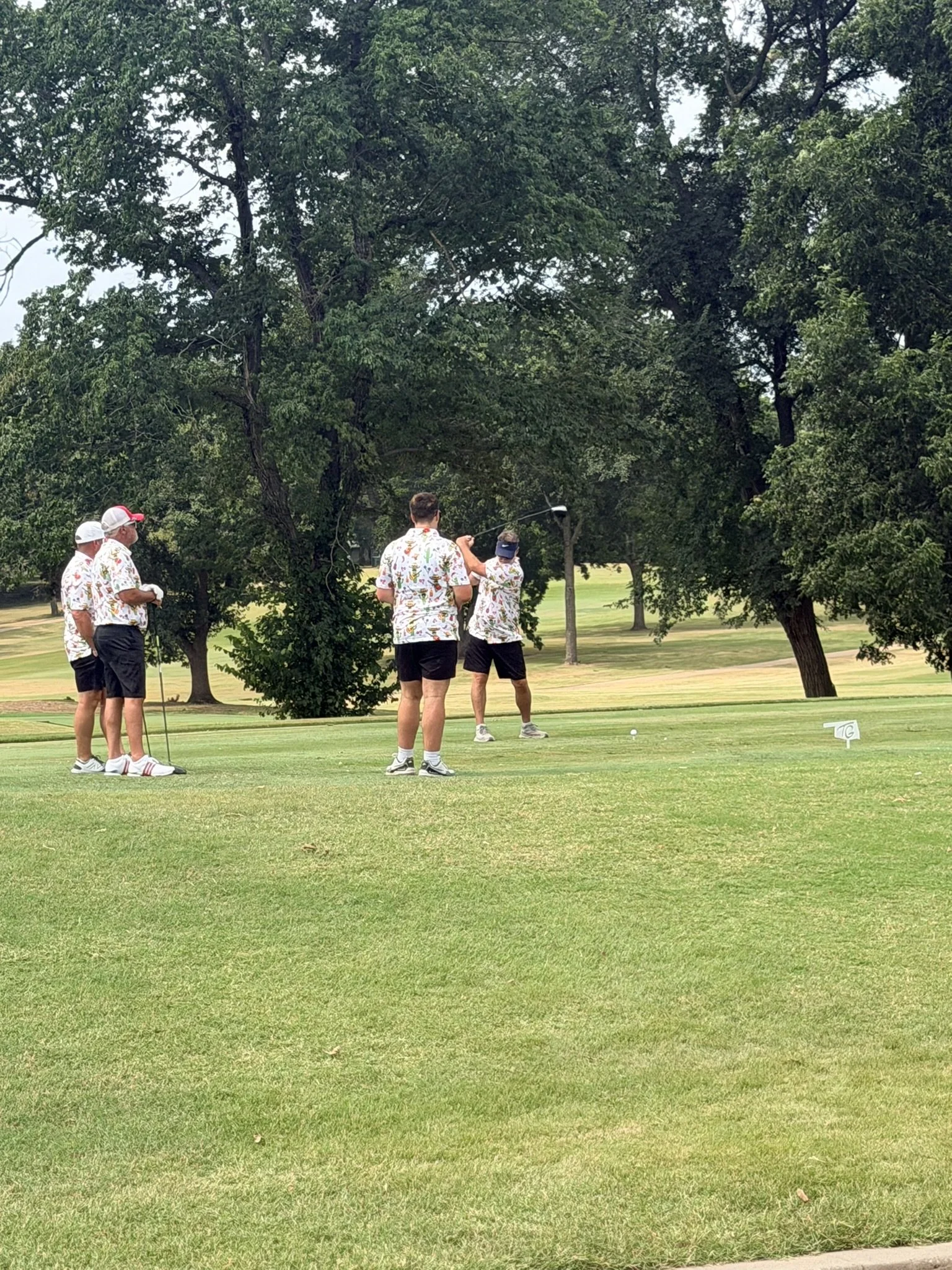 IMG_7846.JPEG