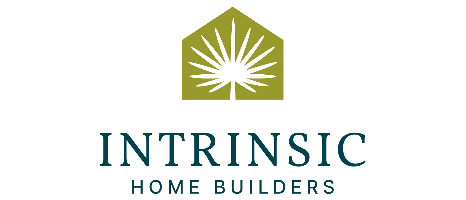 HHBL_intrinsic copy.png