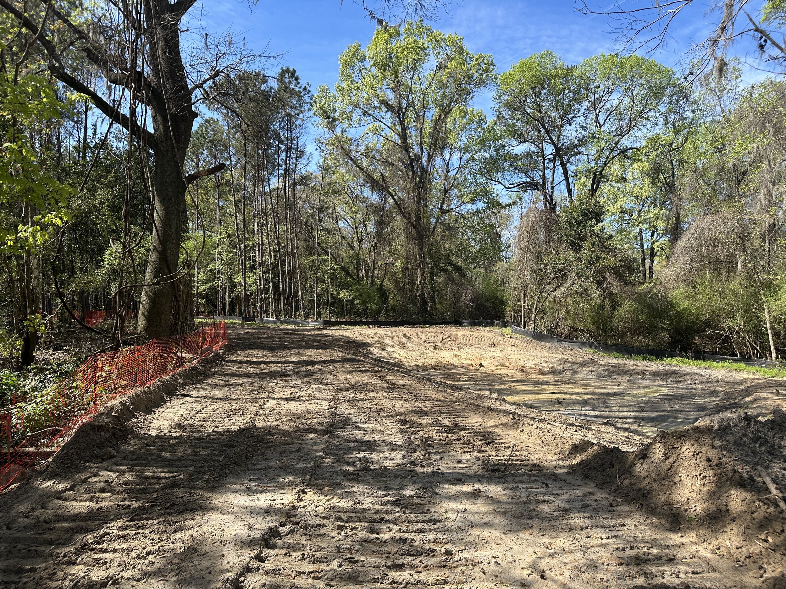 Alley graded out around a preserved Hickory tree and a rain garden under construction
