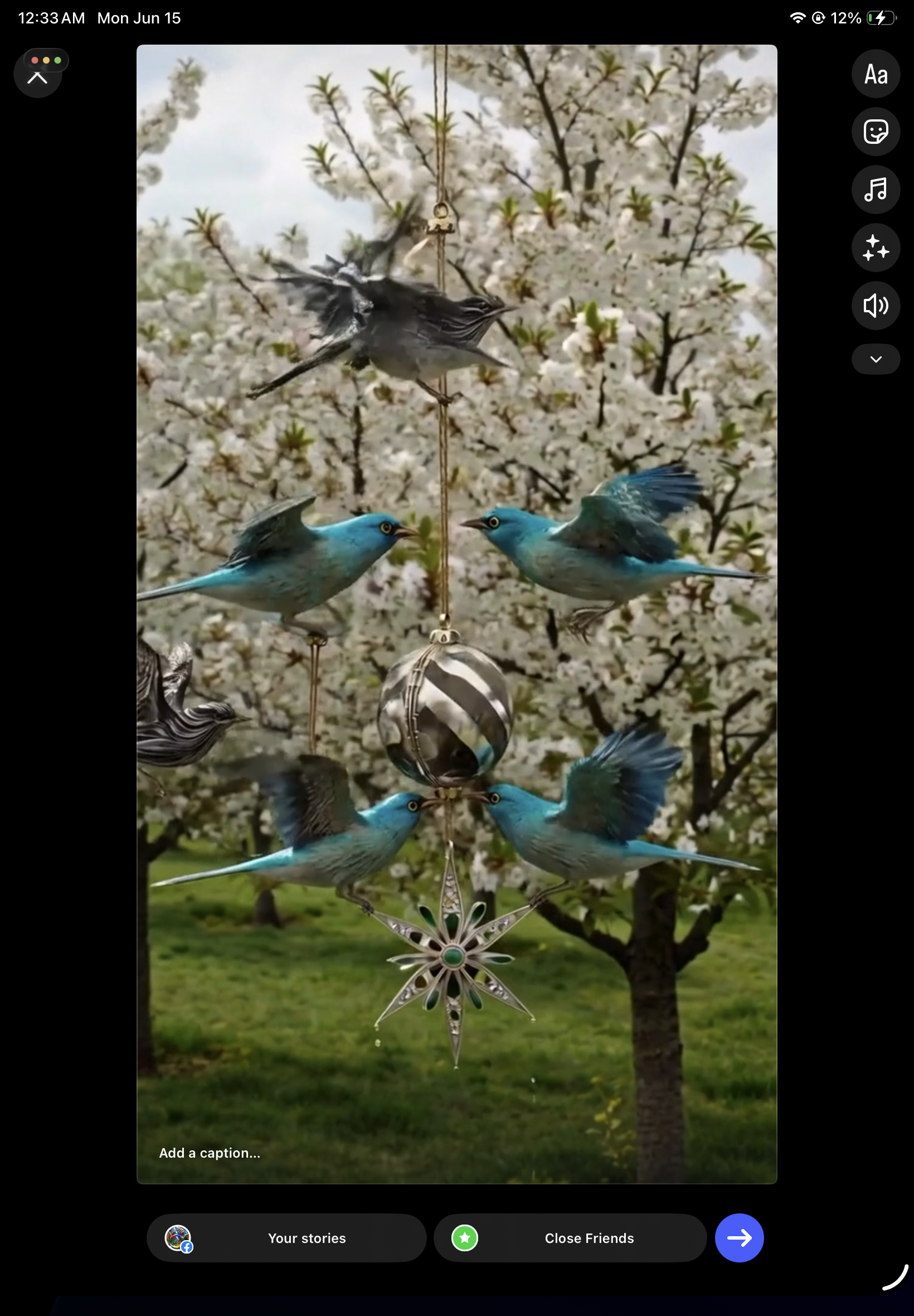 IMG_0805.png