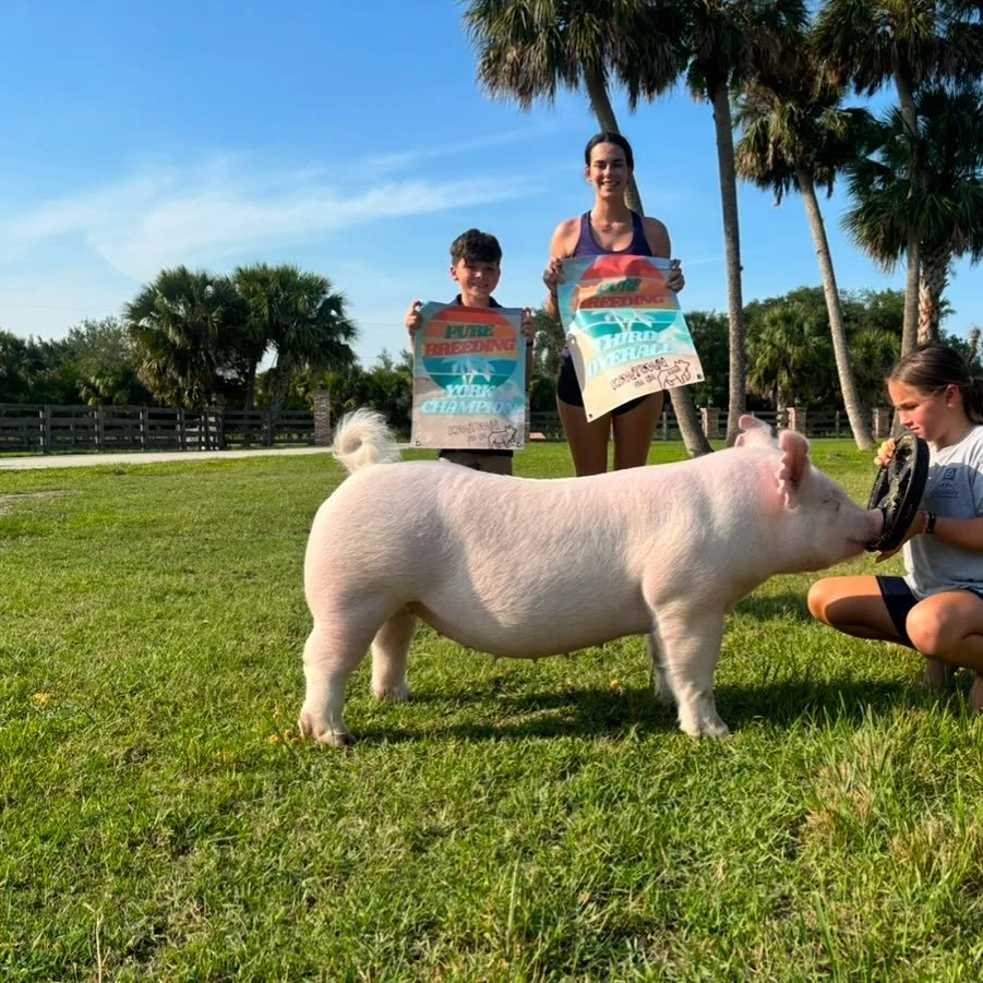 499944348_18310936450233165_833381403732419809_n (1).jpg