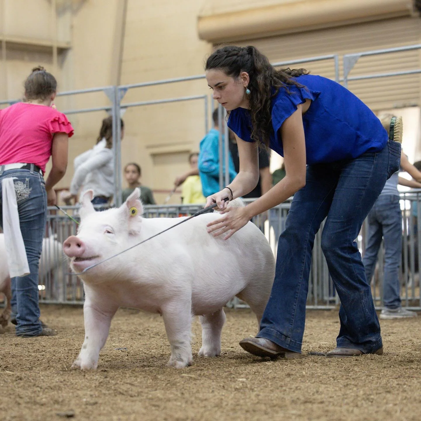 500286638_18310936399233165_5899442028701928454_n (1).jpg