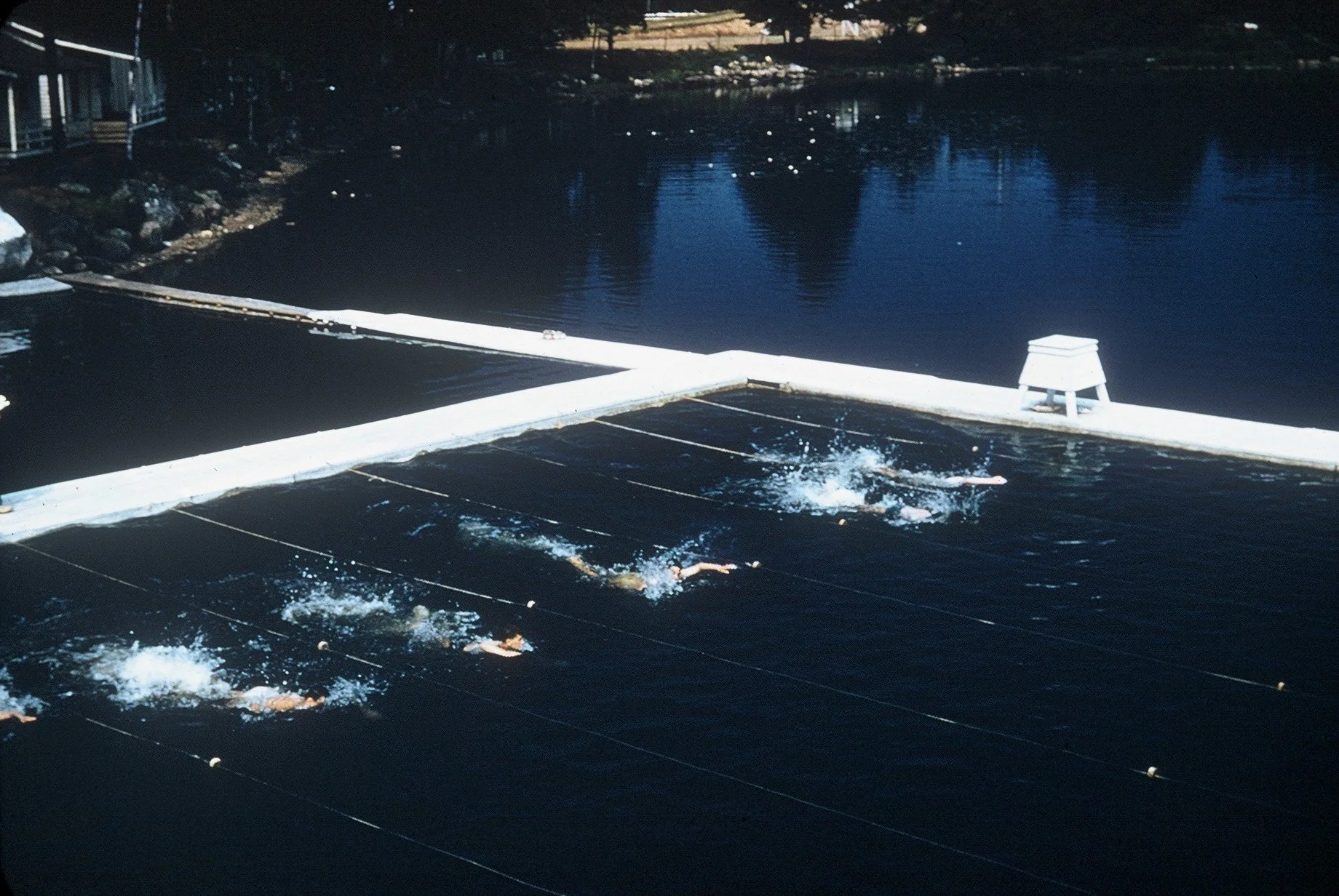F1030010.JPG