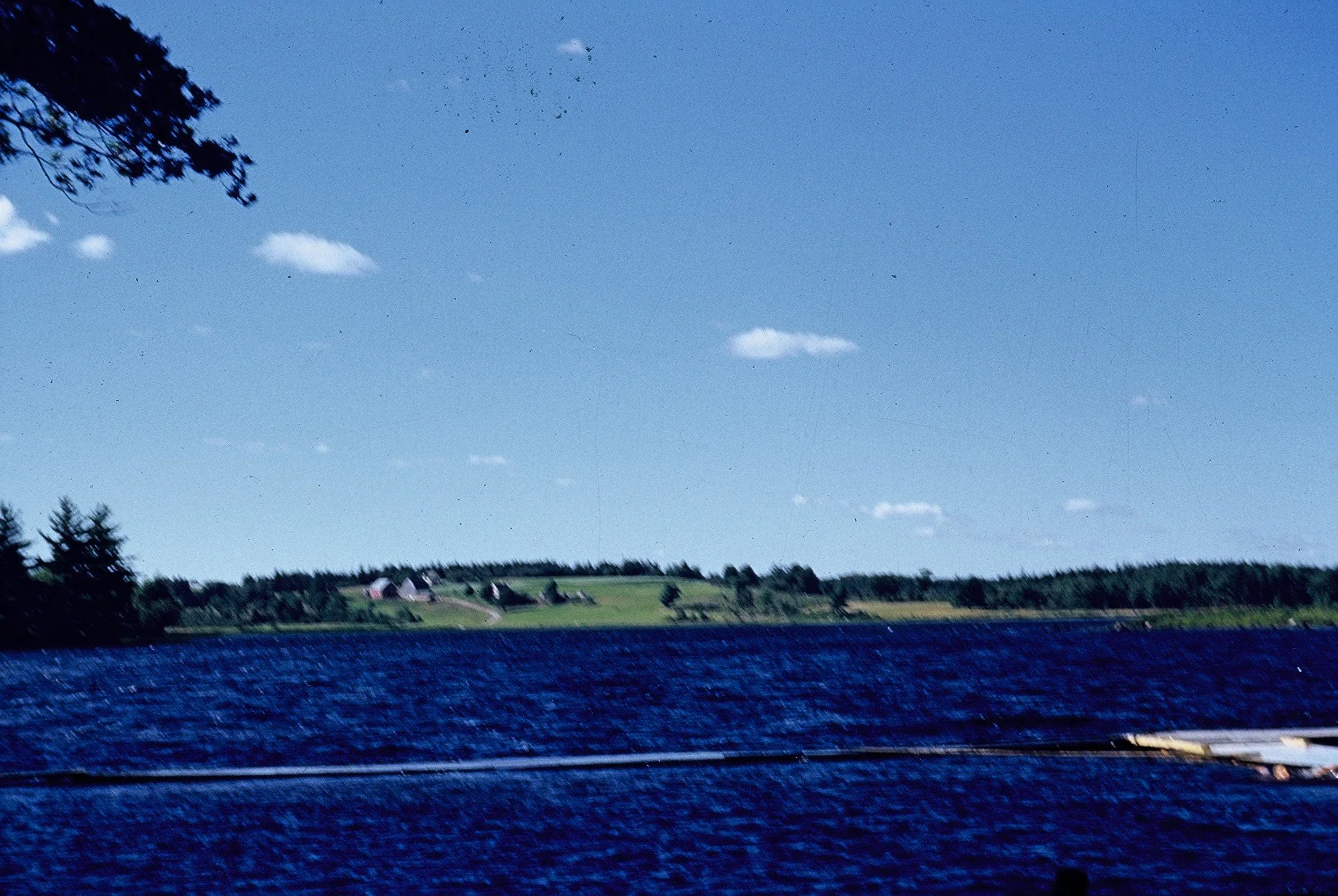 F1060001.JPG