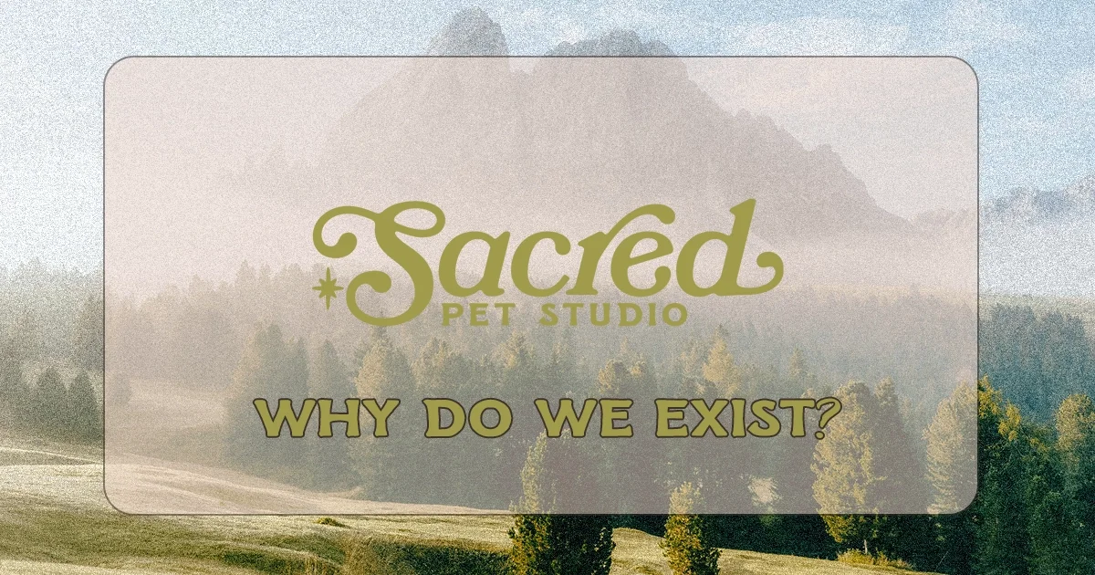 Why Sacred Pet Studio Exists: An Alternative to Cremation After Euthanasia