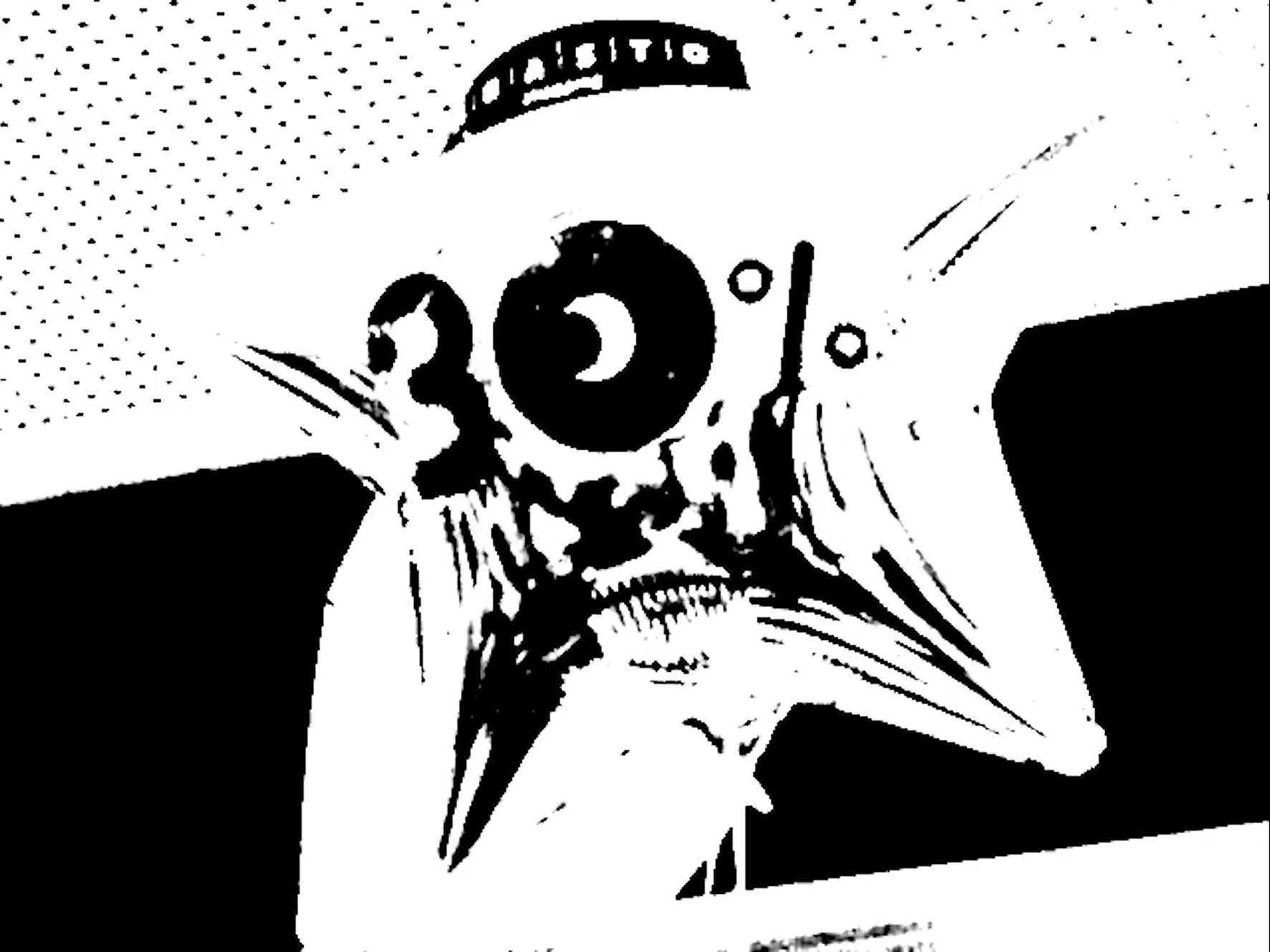30 PORCIENTO.Still001.jpg