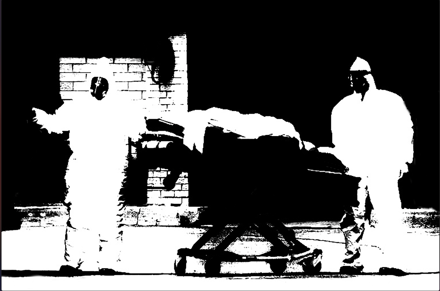 unnamed nro.7.png