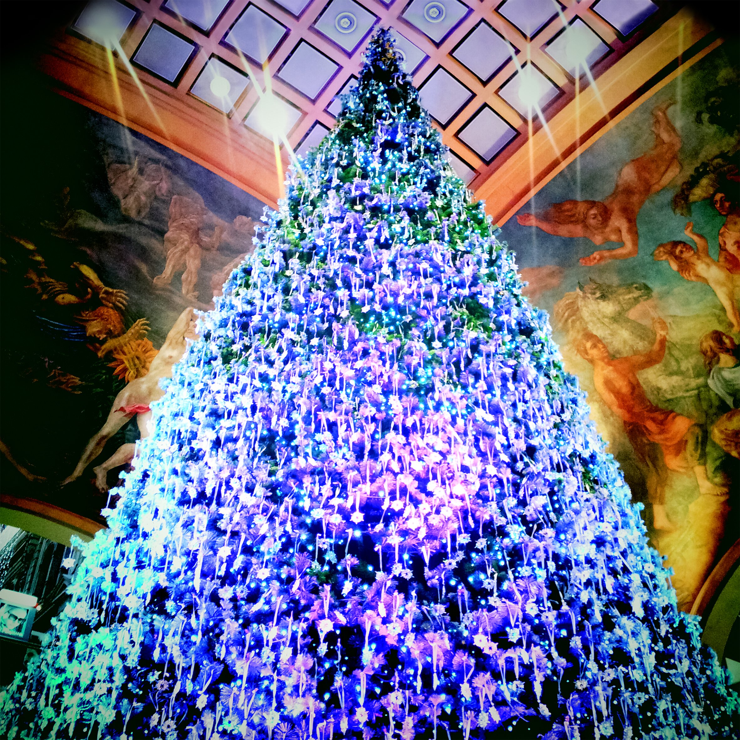 xmas_85.jpg