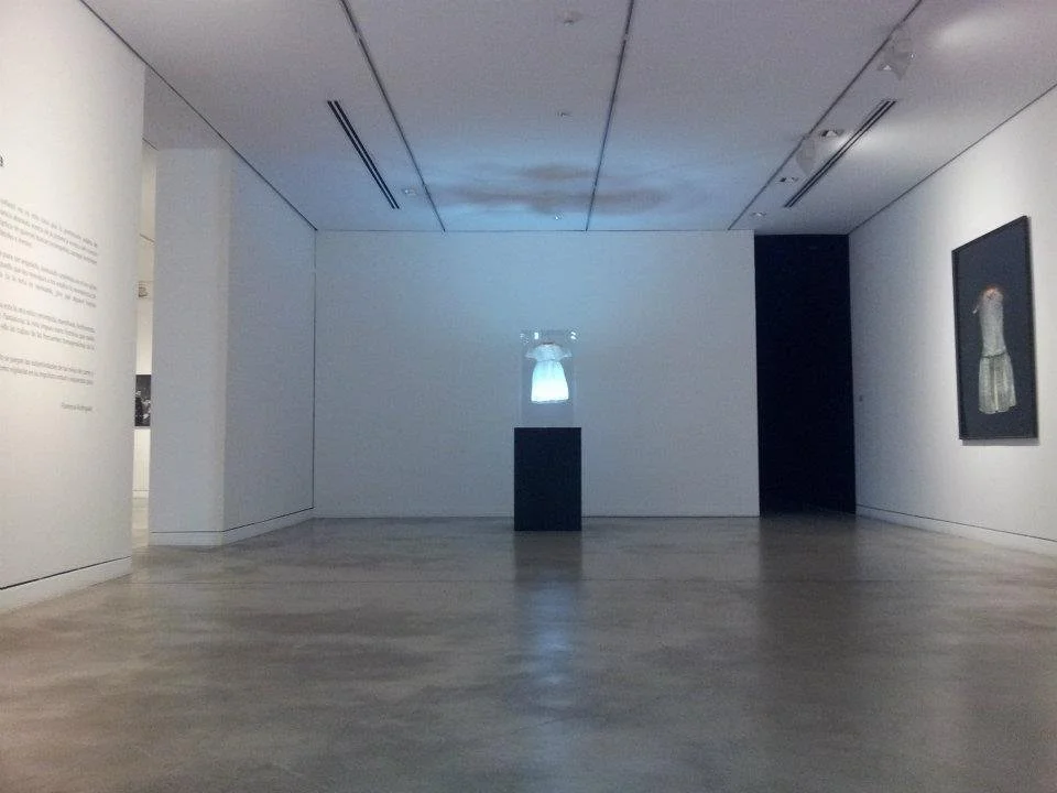 seis_caraffa_06_2012.jpeg