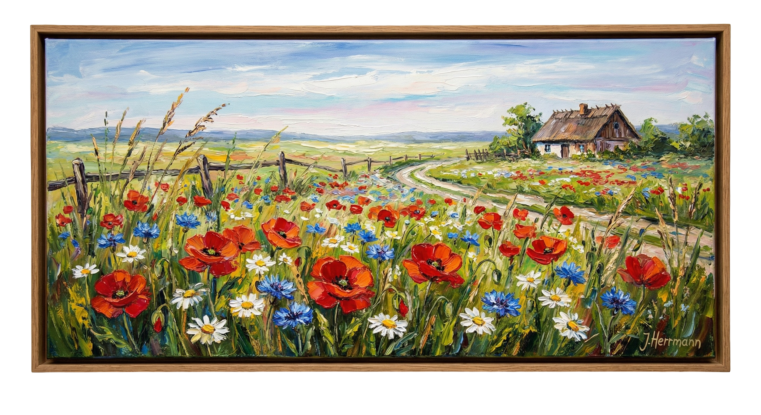 Sommerwiese Panorama