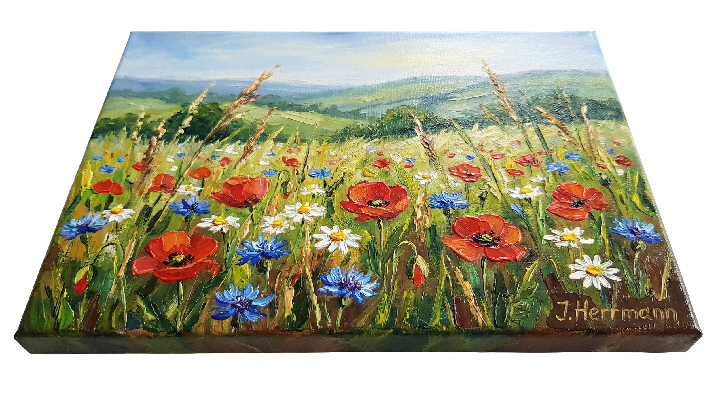 Eine perspektivische Seitenansicht des Gemäldes „Sommerwiese“ von Jakob Herrmann für die JJ Art Gallery.