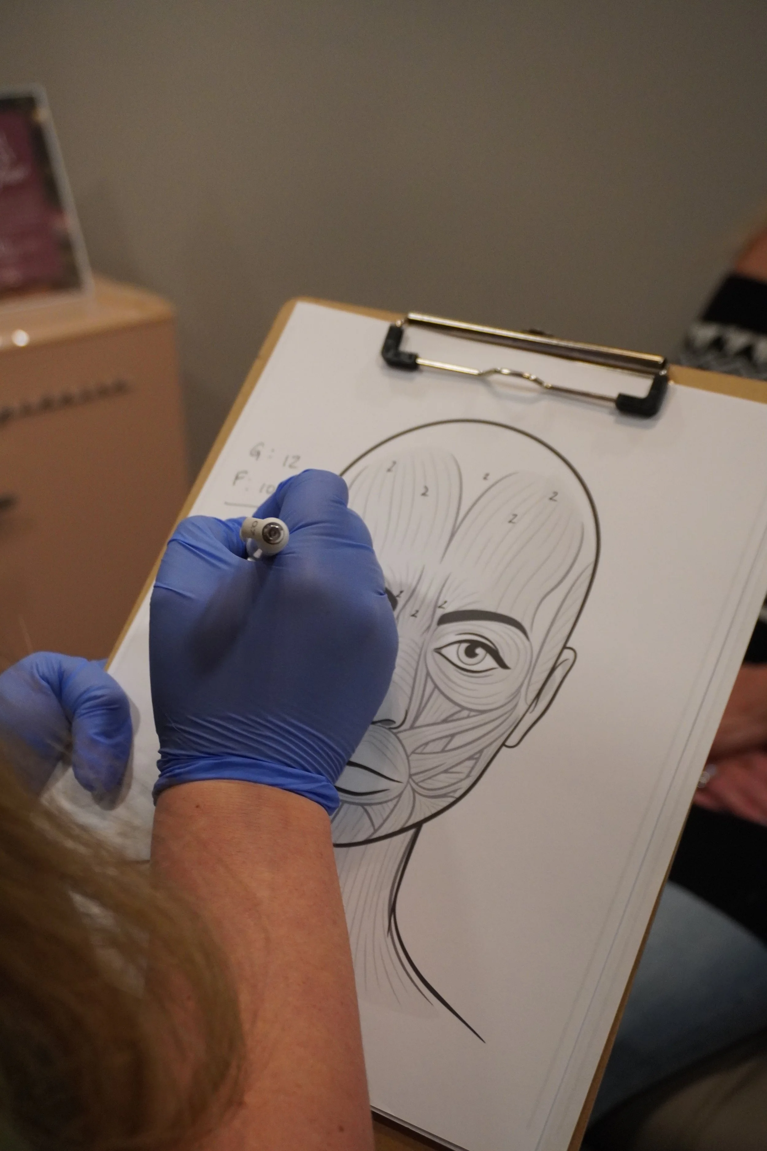 Person wearing blue gloves drawing a diagram of facial muscles on a clipboard.