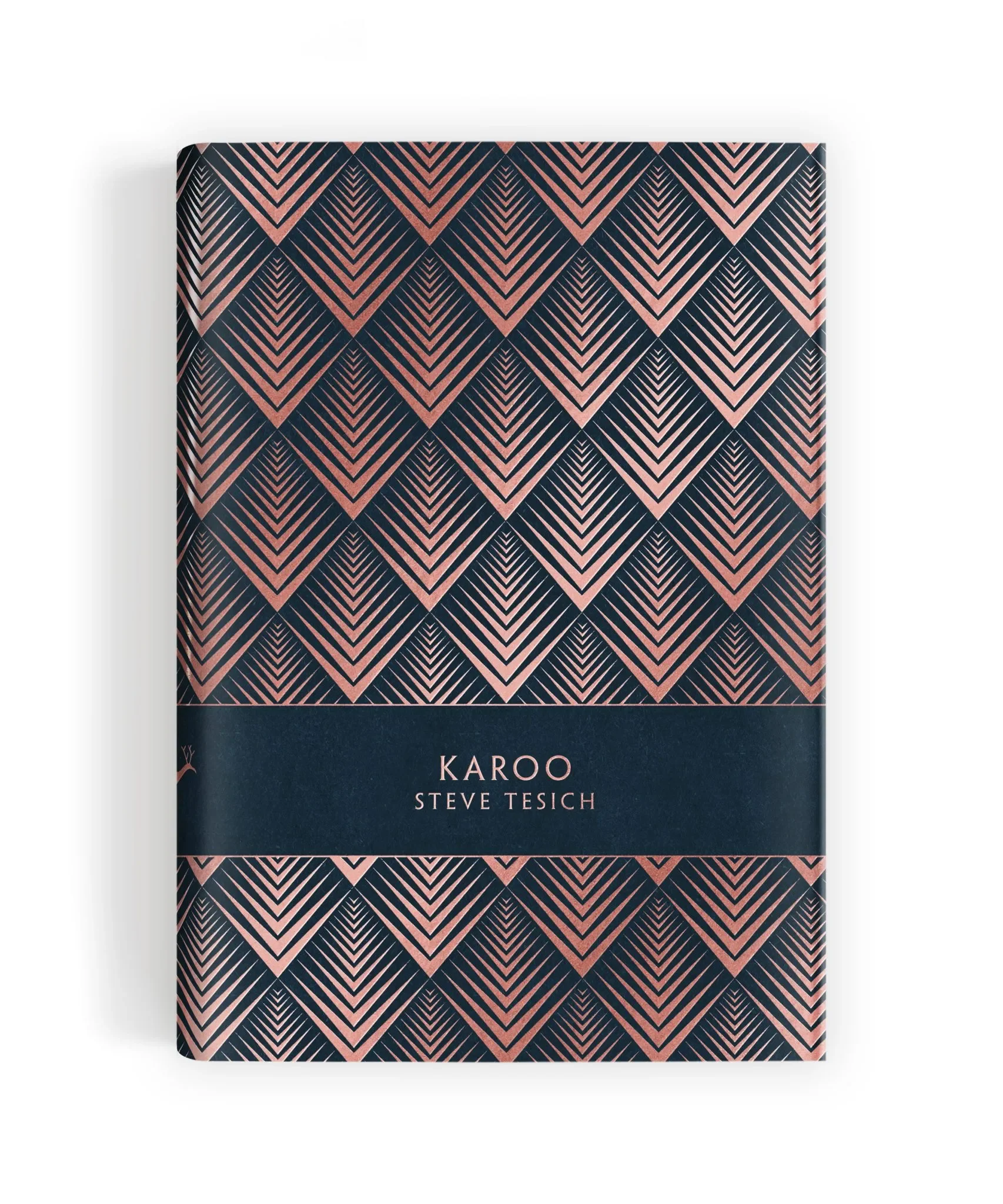 Couverture de livre intitulée «Karoo» par Steve Tesich, avec un design géométrique noir et rose.