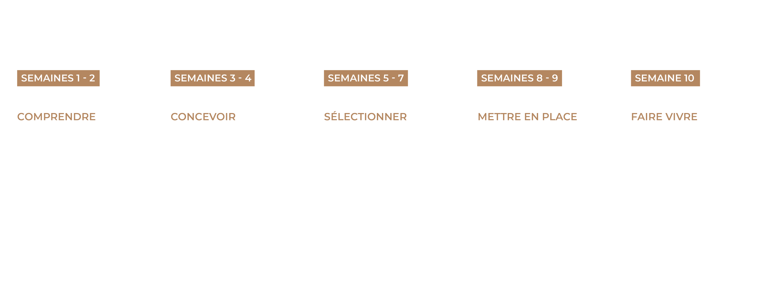 Une infographie montrant un calendrier de projet réparti en cinq étapes et semaines. La première étape concerne la compréhension, la deuxième la conception, la troisième la sélection, la quatrième la mise en place, et la cinquième faire vivre. Chacune contient une description des tâches à réaliser.