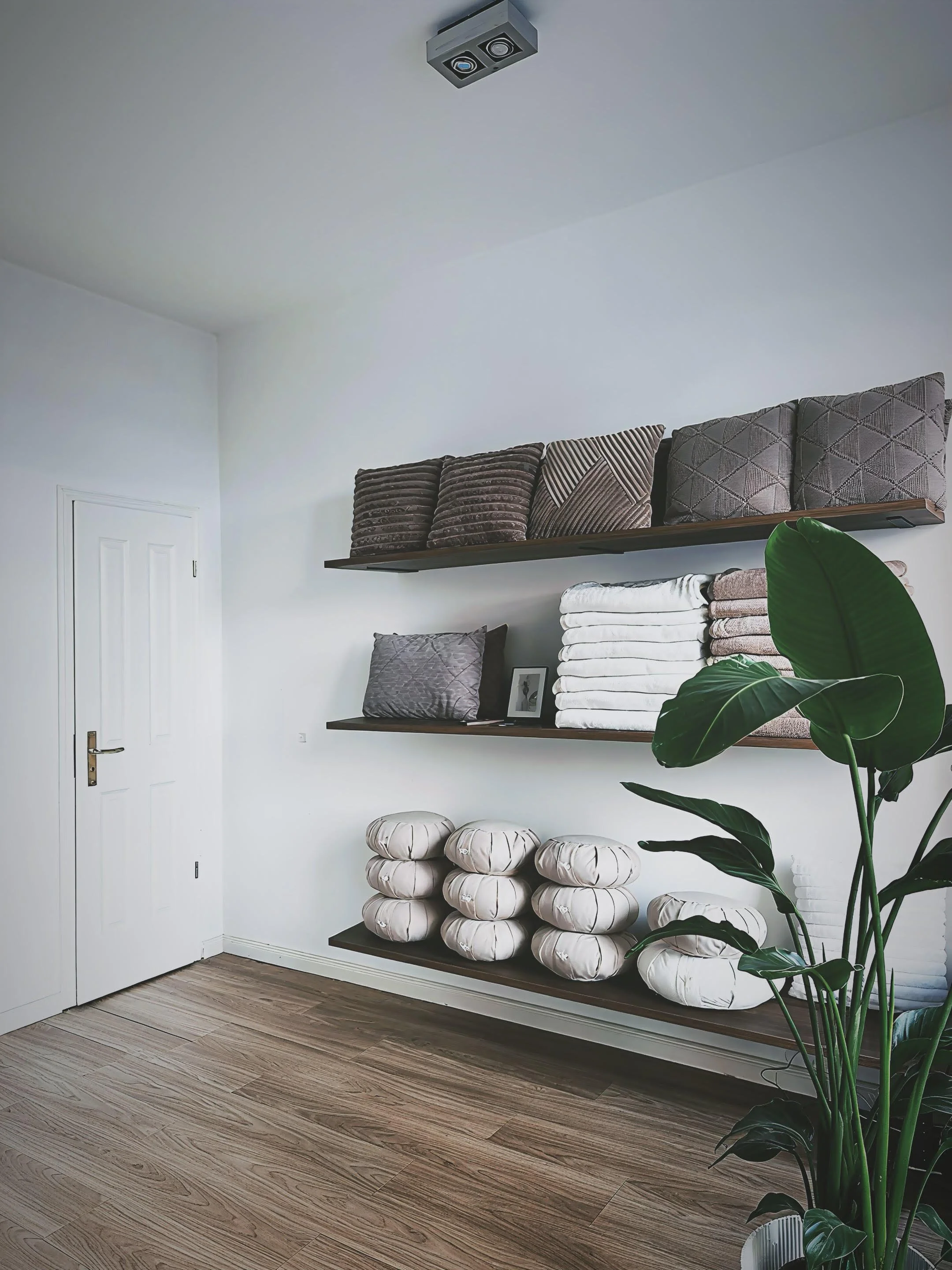 Somatic Coaching, Hypnotherapy, Subconscious Reprogramming, Nervous System Regulation, Embodiment Coaching