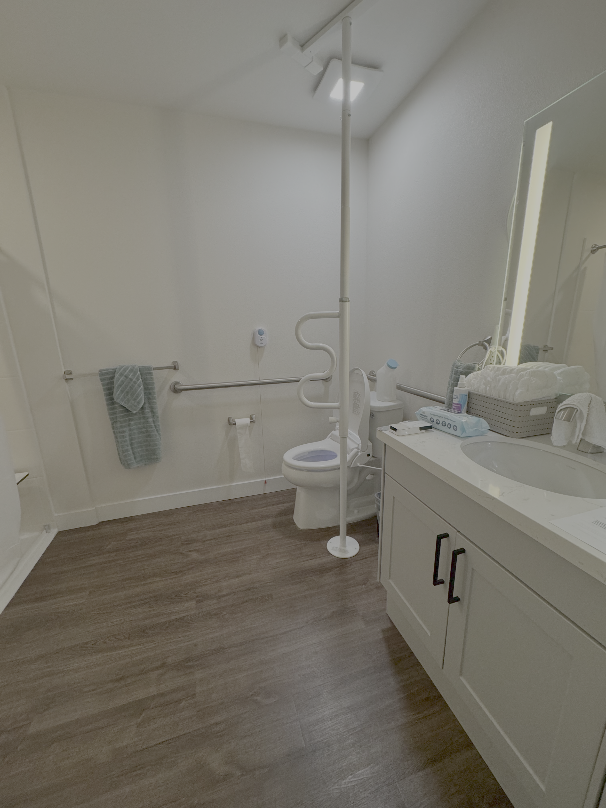 Floor-to-ceiling transfer pole with toilet safety rail and grab bar, fully accessible bathroom, home mobility modification Northern California