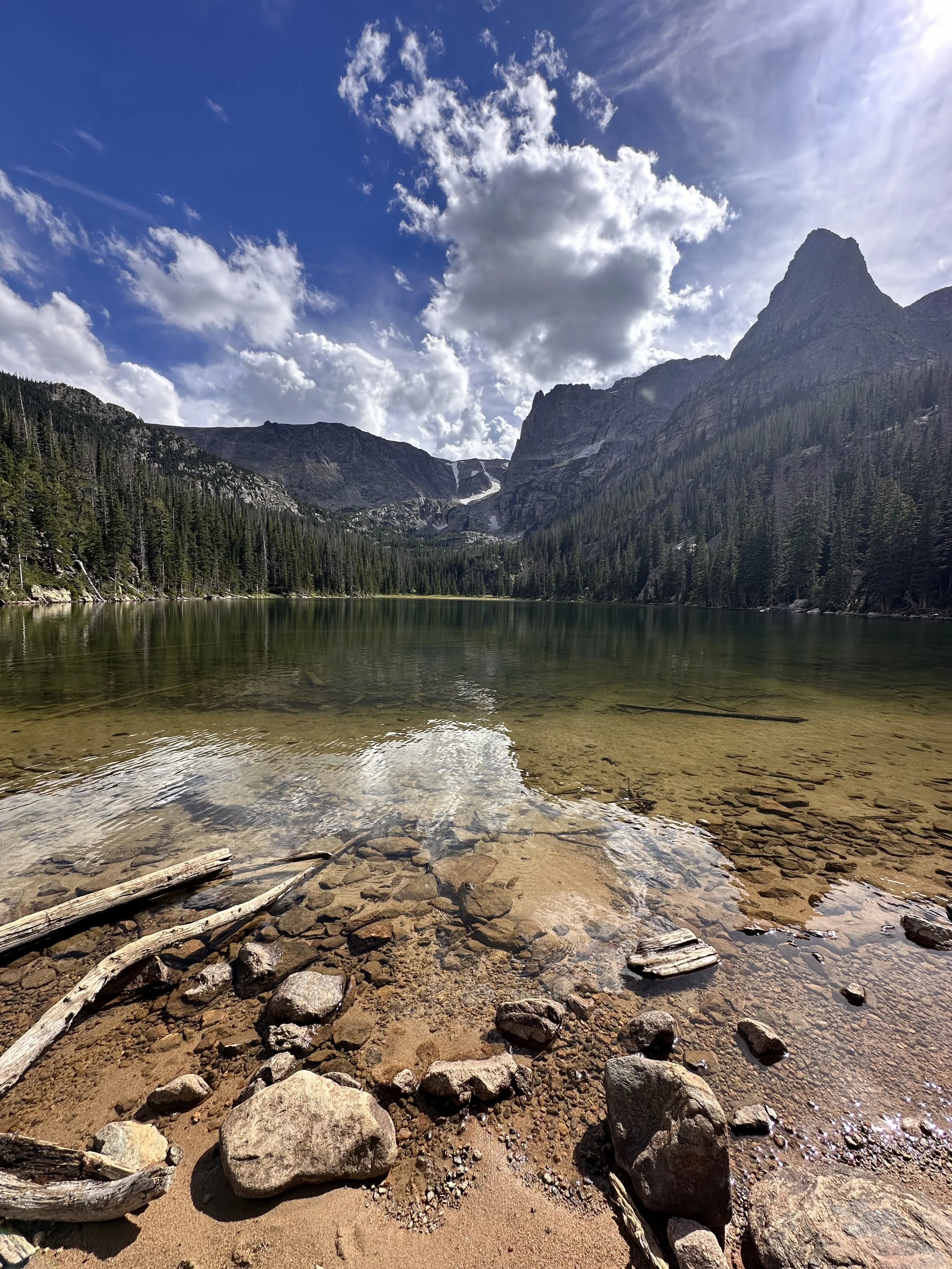 A mountain lake with a sandy shore and scattered rocks and driftwood, surrounded by tall pine trees, with steep mountain peaks in the background and a partly cloudy sky overhead.
