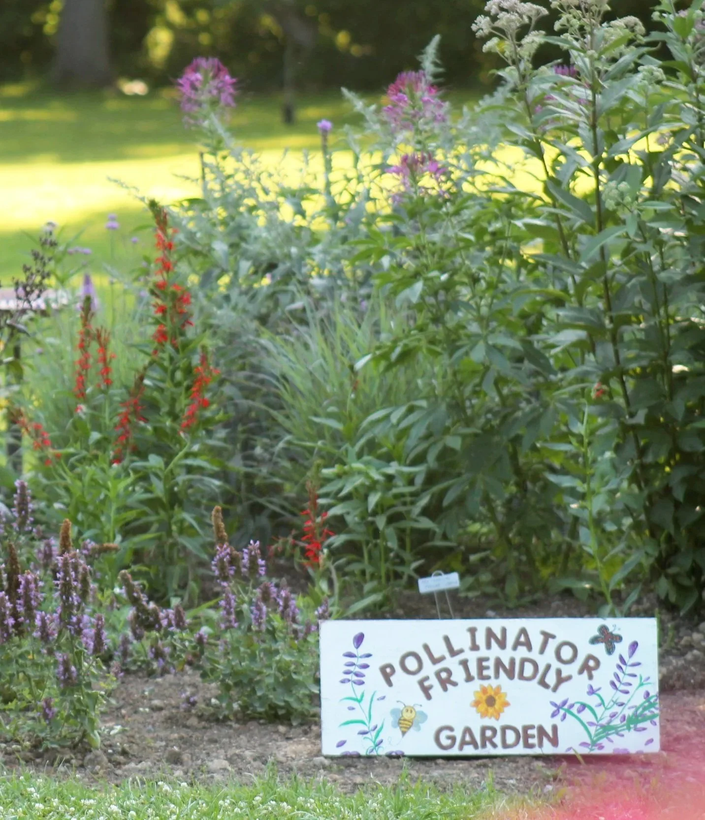 A garden display with various flowering plants, a sign that reads 'Pollinator Friendly Garden' decorated with drawings of bees, flowers, and leaves, and a background of a sunny, green outdoor area.