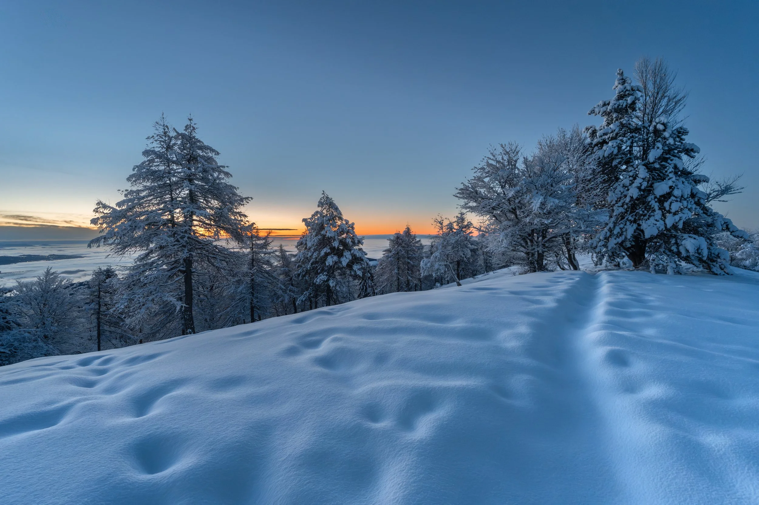 WINTER_44.jpg