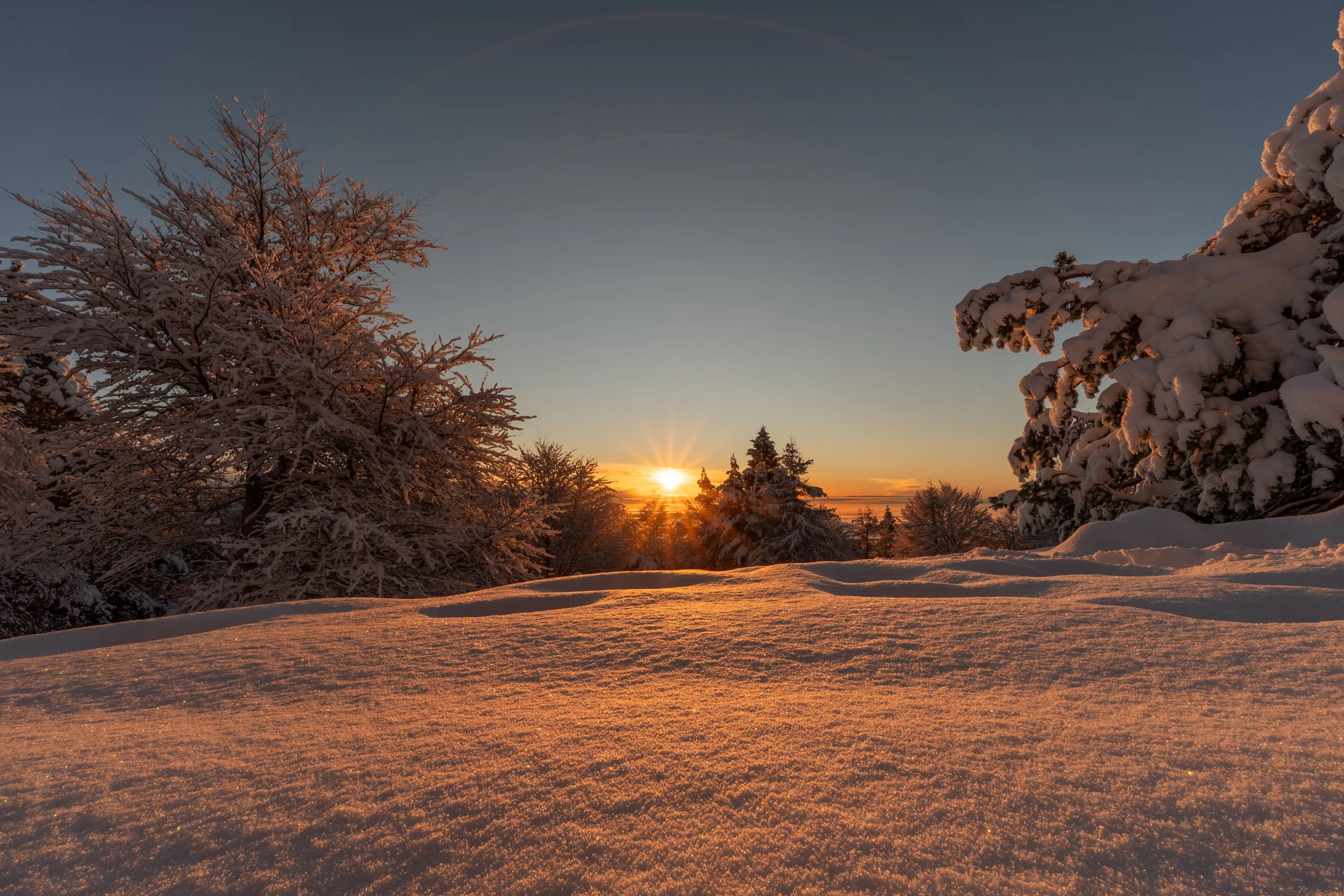 WINTER_46.jpg