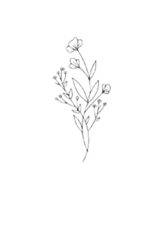 Black and white illustration of a flowering plant with a bud, small flowers, and leaves.