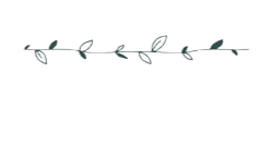 A simple, minimalist illustration of a horizontal leafy vine with small leaves, rendered in light gray on a dark background.