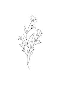 Illustration of a simple plant with flowers and leaves, some flowers with open petals and some closed.