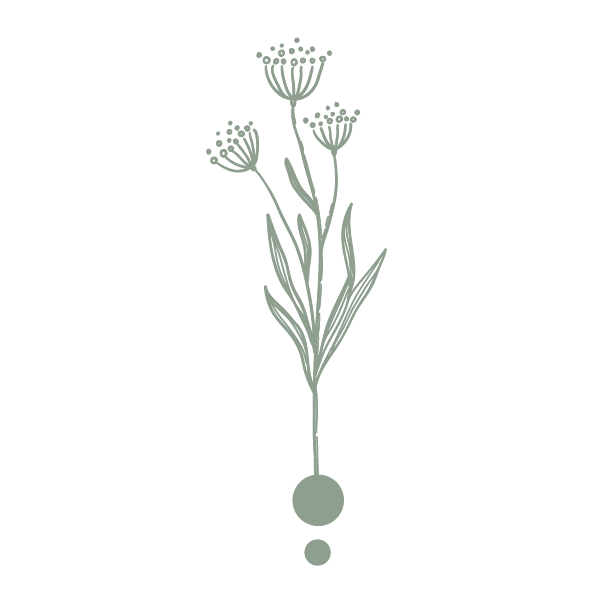 Stylized illustration of a plant with three flowering stems emerging from a single circle.