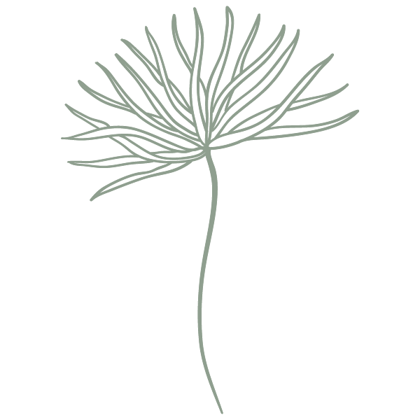 An illustration of a single, gray, outlined tropical leaf on a black background.