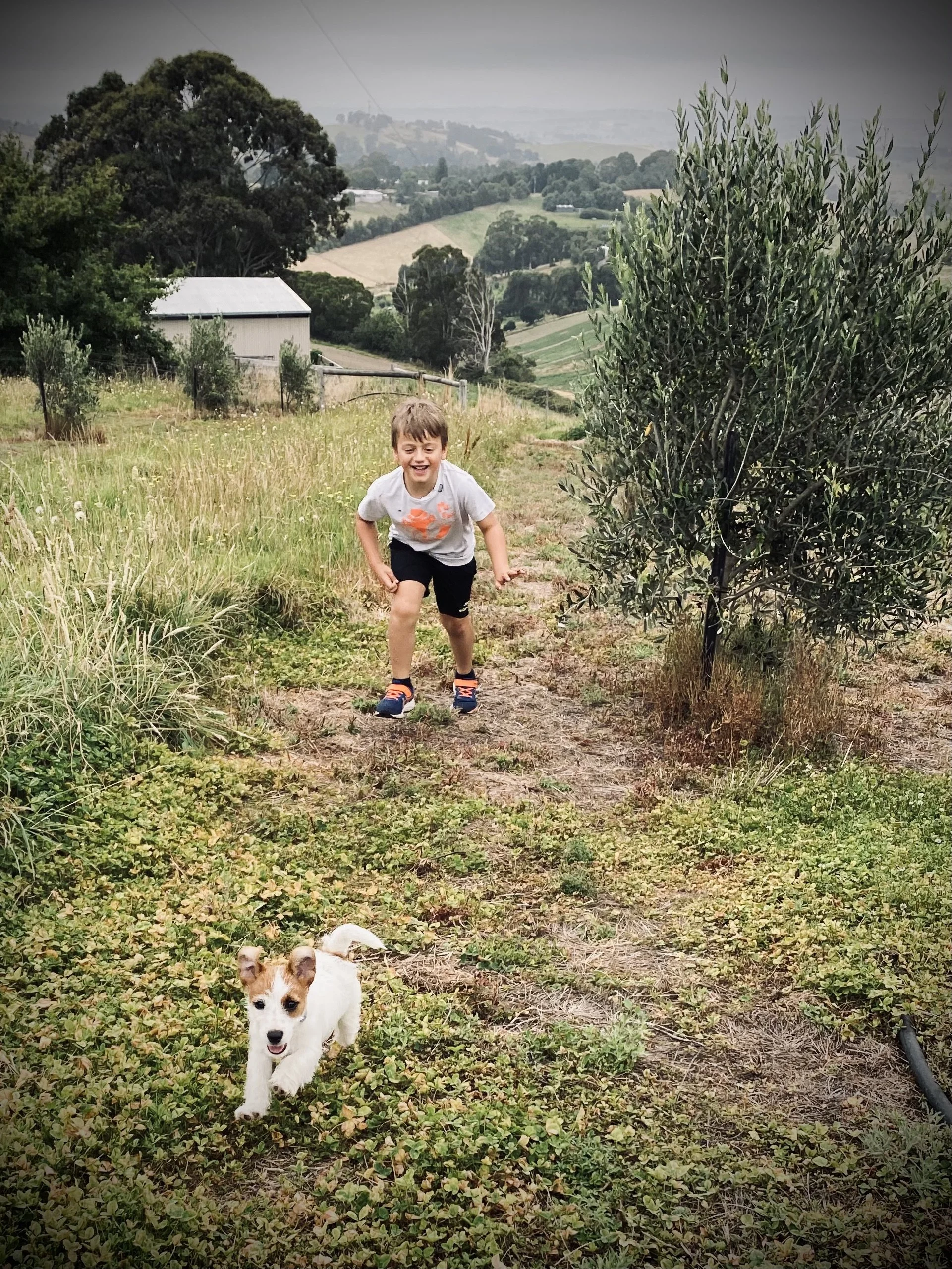 Young boy running outdoors in a rural area with rolling hills, trees, and a shed in the background, and a small white and brown puppy in the foreground.
