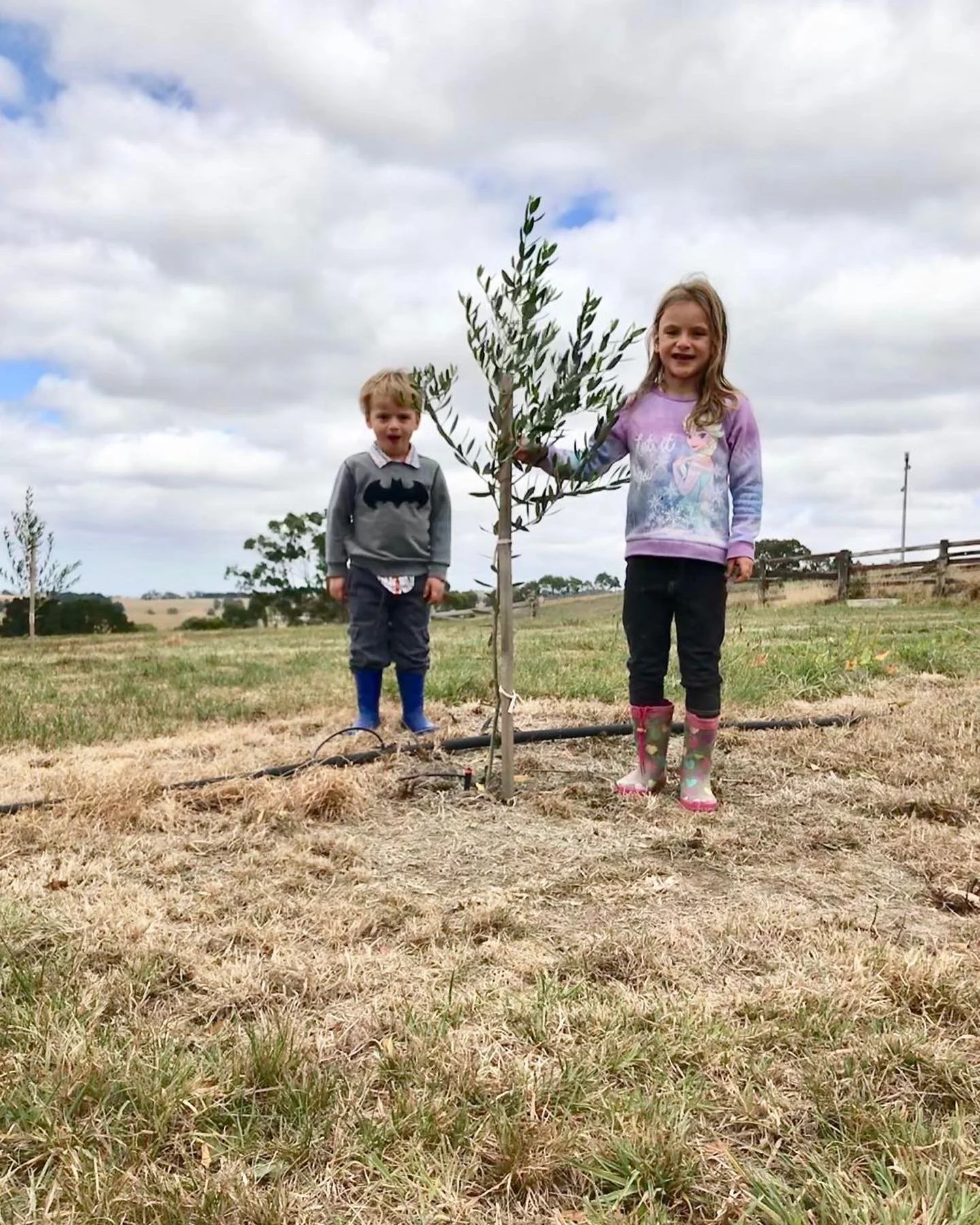 Two young children, a boy and a girl, planting a small tree in a field under cloudy skies. The girl is holding the tree while the boy stands behind her.