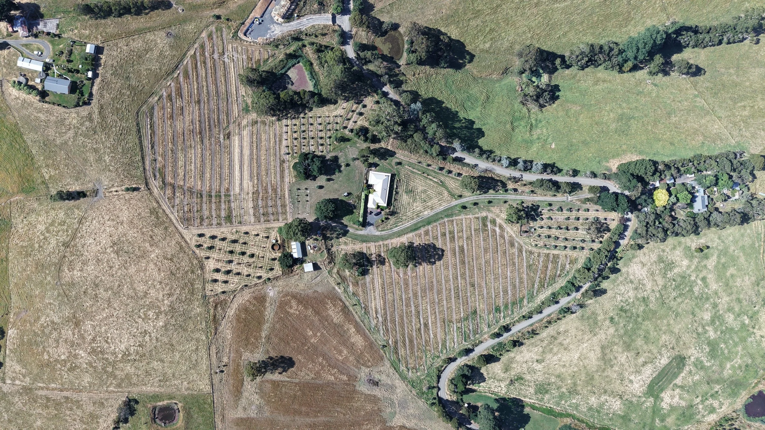 Aerial view of farmland with cultivated fields, trees, houses, and a winding road.